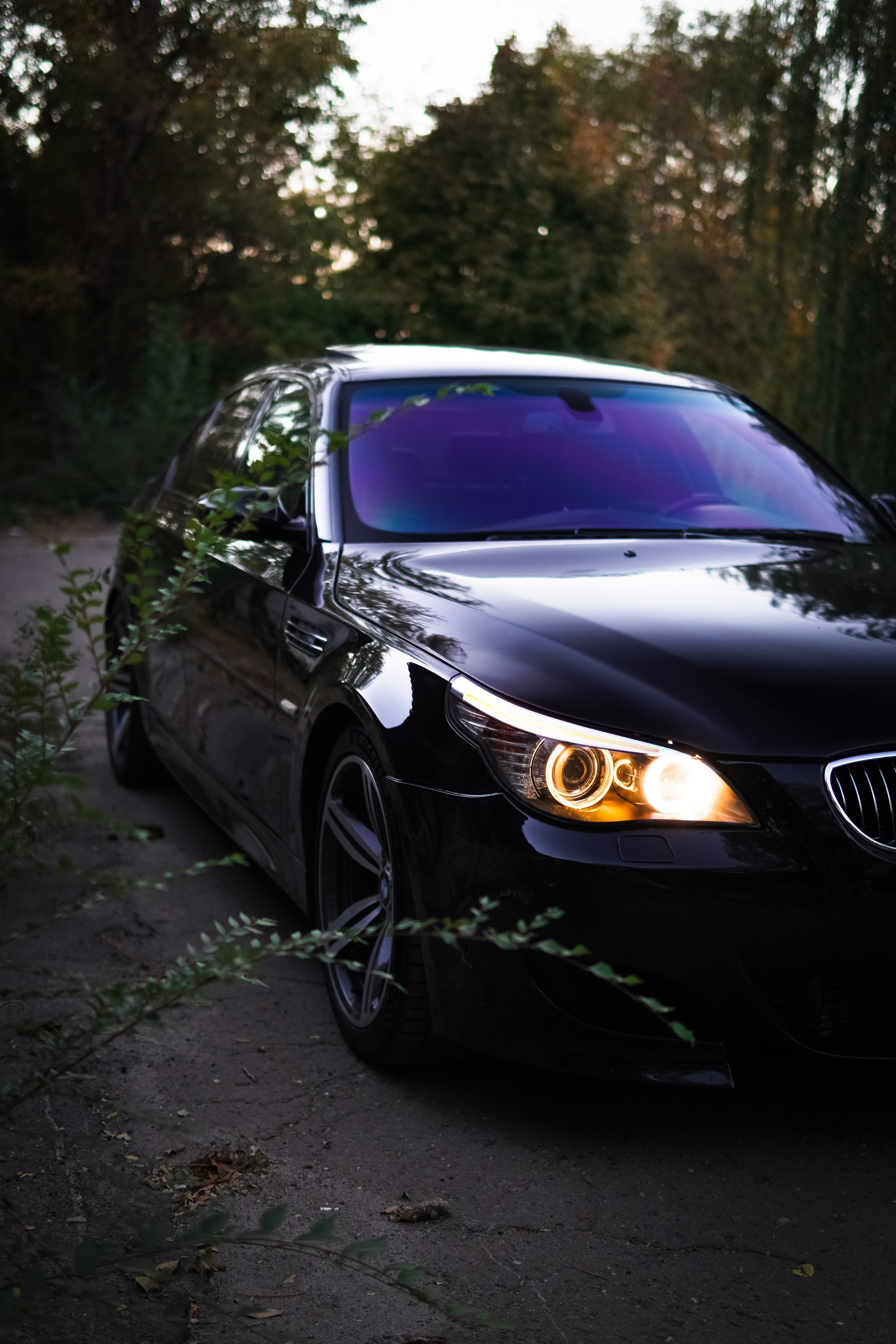 BMW M6 E64 Cabriolet. AutoAlexArt