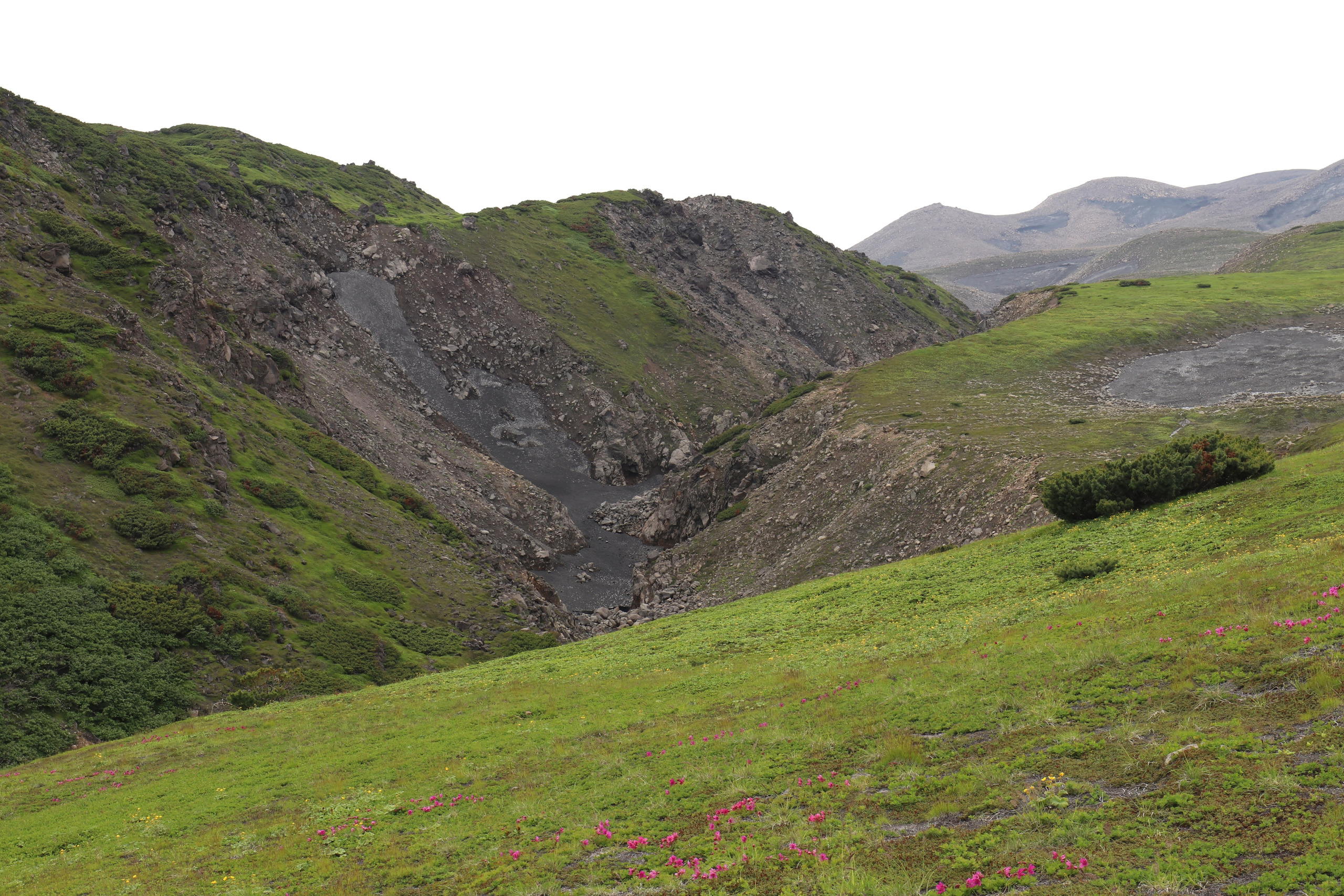 Камчатка и о. Парамушир. Июль 2024. Путешественник-фотограф из Санкт-Петербурга Татьяна Свистулина