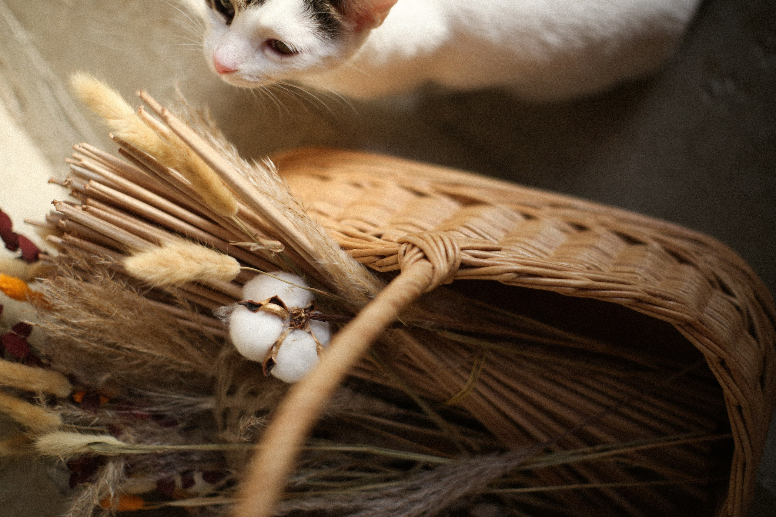 Плетеные изделия. Коммерческий фотограф. Ростов-на-Дону. Дарья Константинова