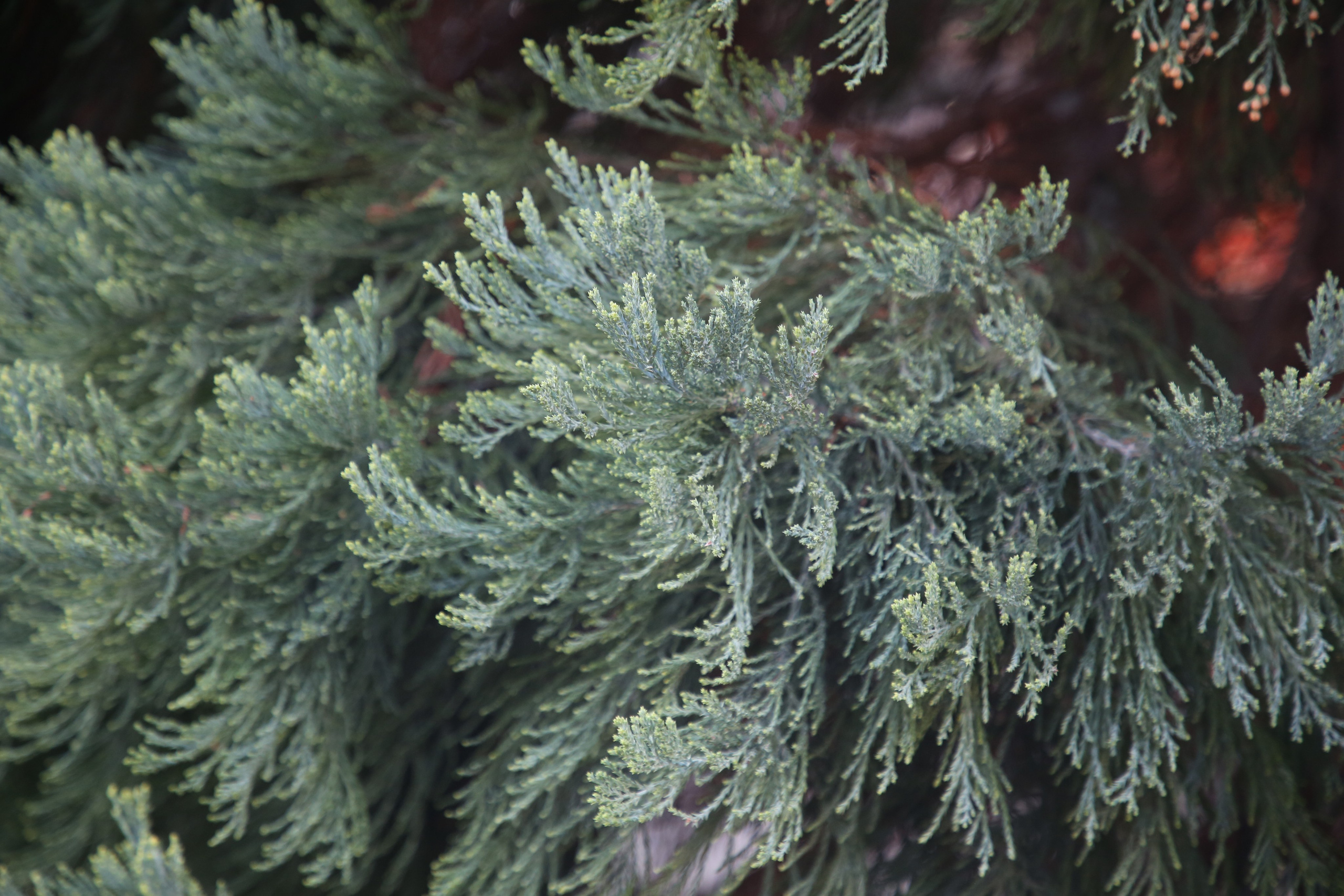 Geneva, Switzerland. Andrey Filippov Photographer