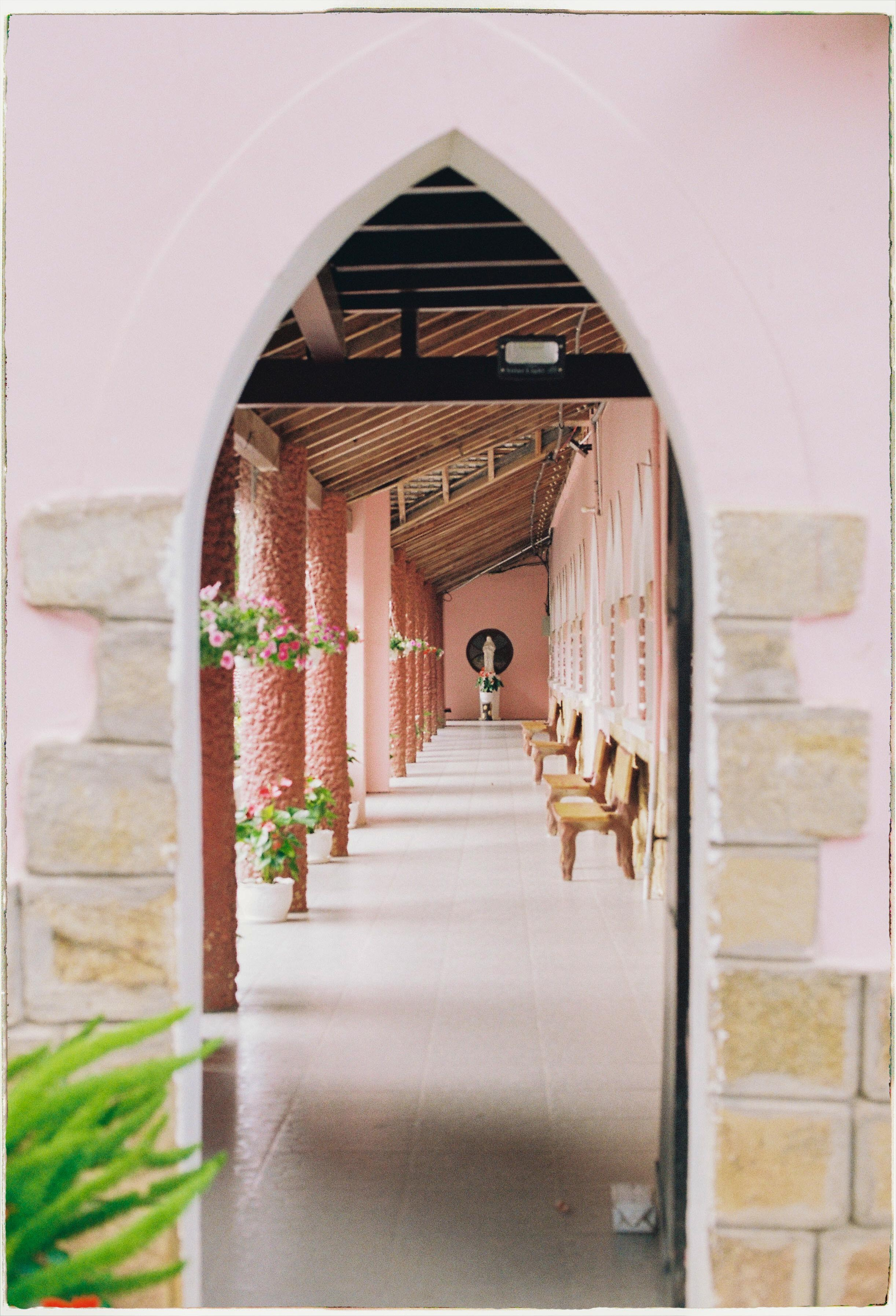 Dalat 2024. Film Photographer in Da Nang, Vietnam — Tanya Parfenteva