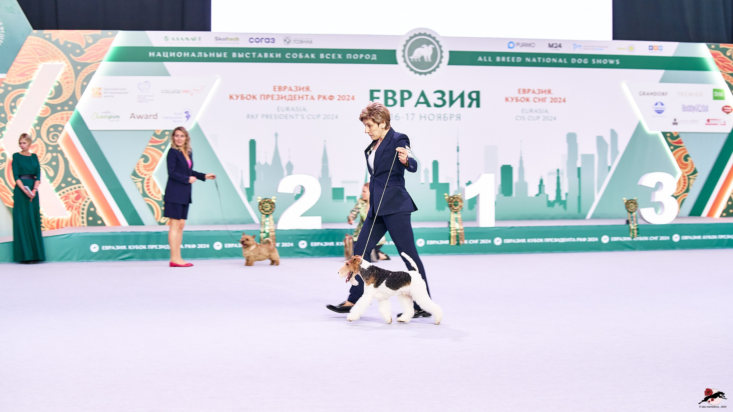 16.11.2024 «ЕВРАЗИЯ. КУБОК ПРЕЗИДЕНТА РКФ 2024»