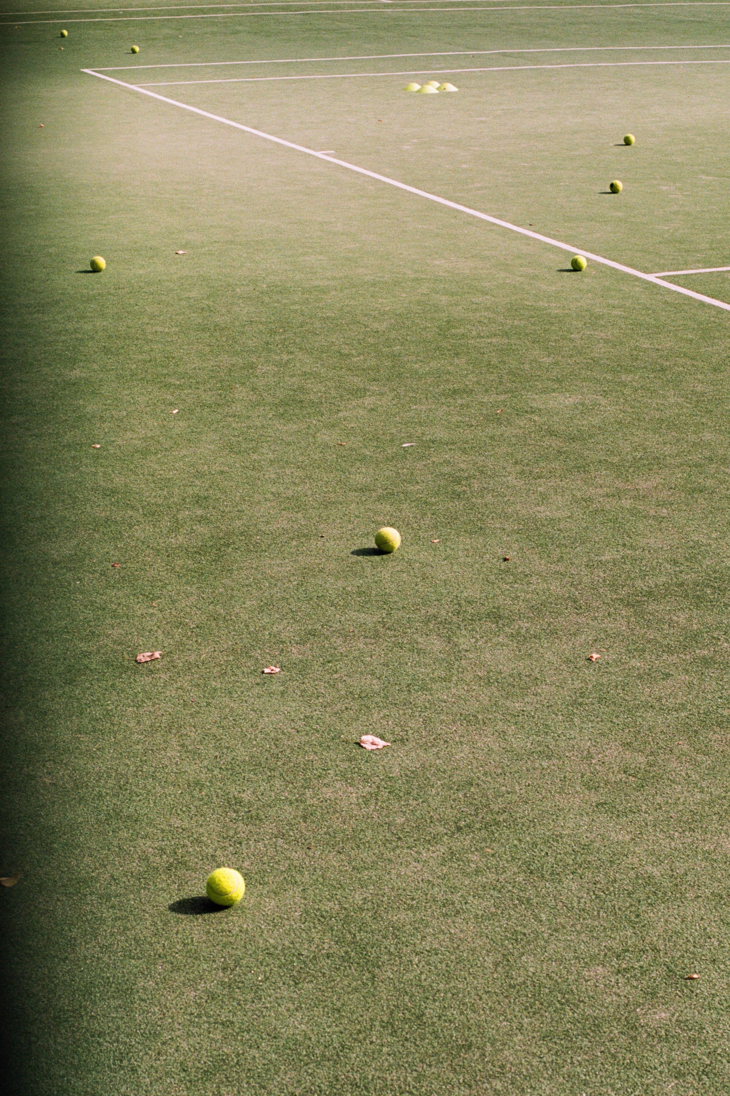 Grain. Artem Khusainov