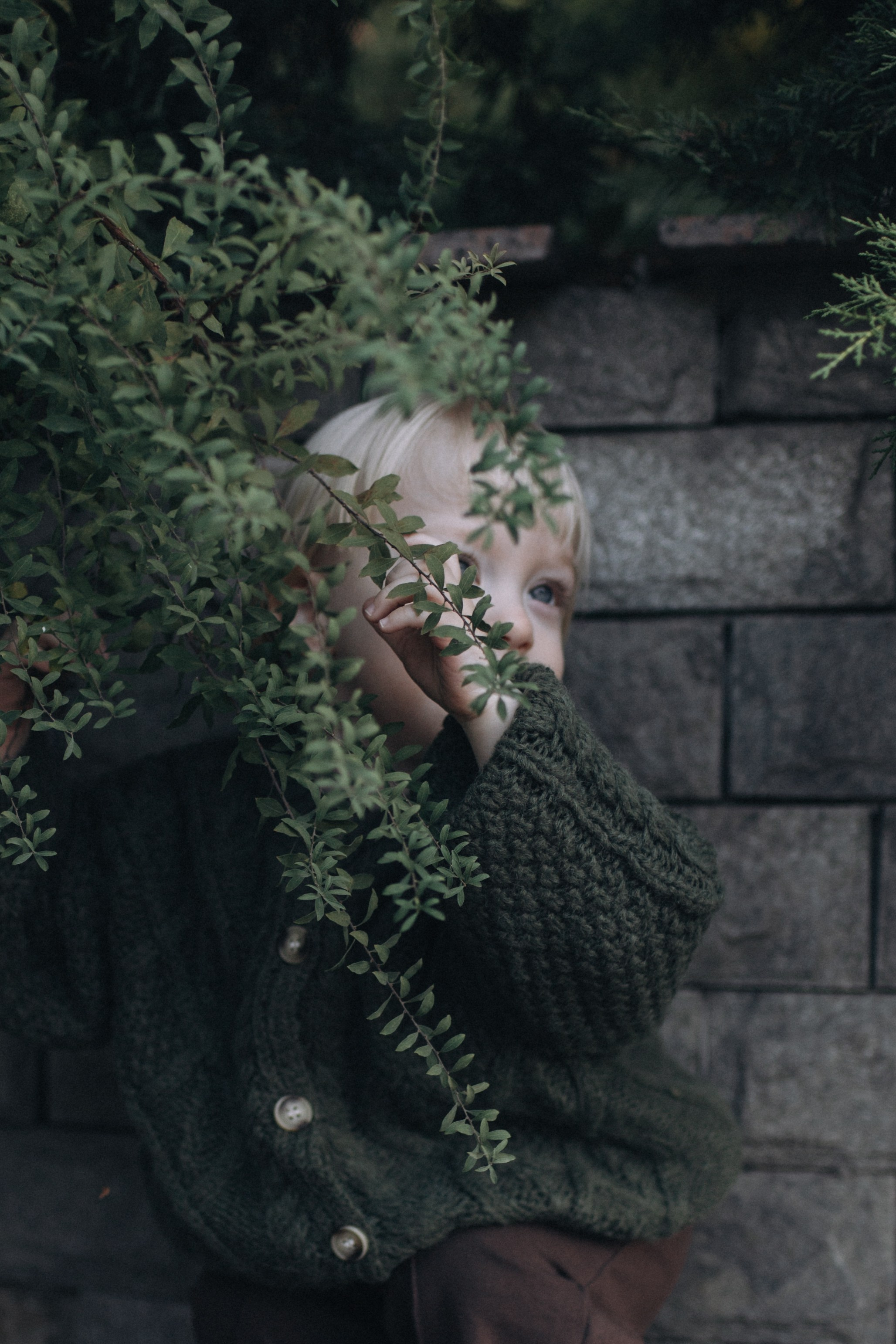 Макс•Лера•Лучик. Миронова Анастасия