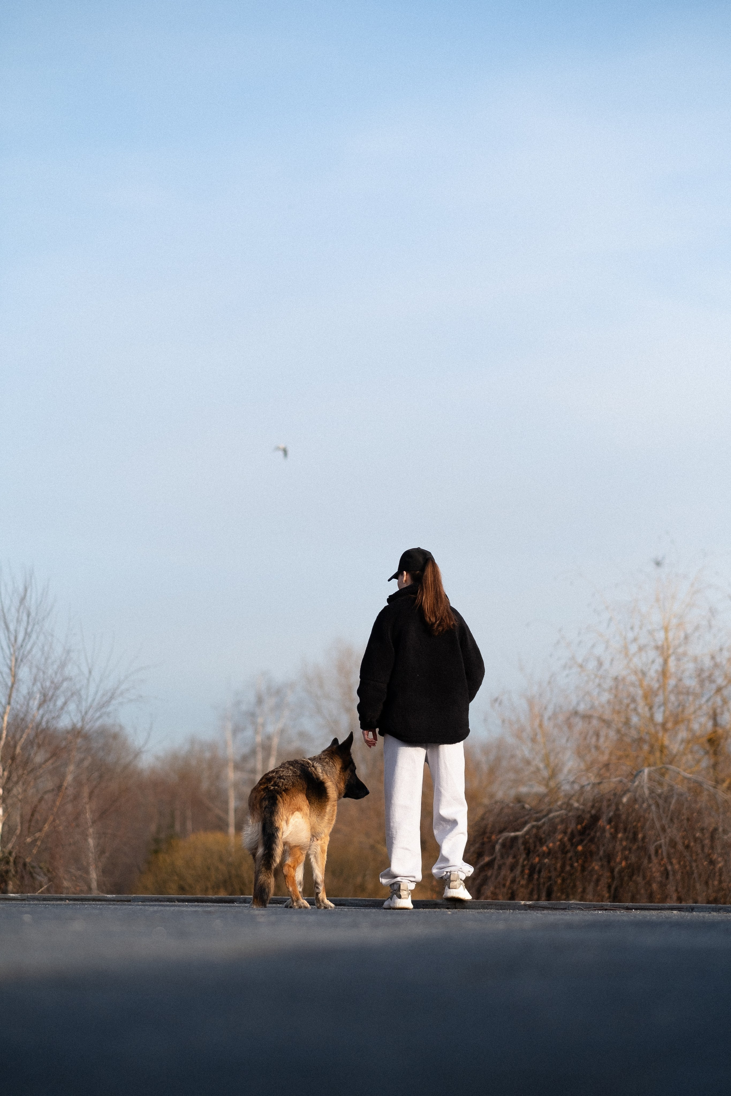 Оля и Джерри. Фотограф и видеограф анималист Аганина Дарья
