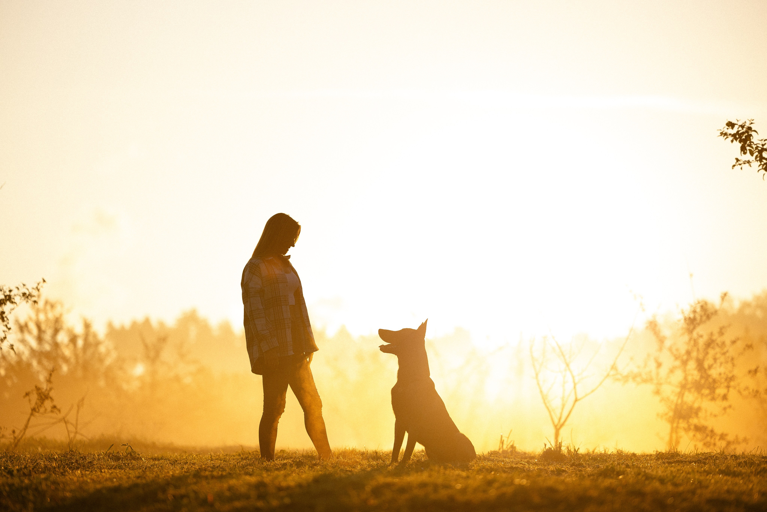Галина и Кодекс. Фотограф и видеограф анималист Аганина Дарья
