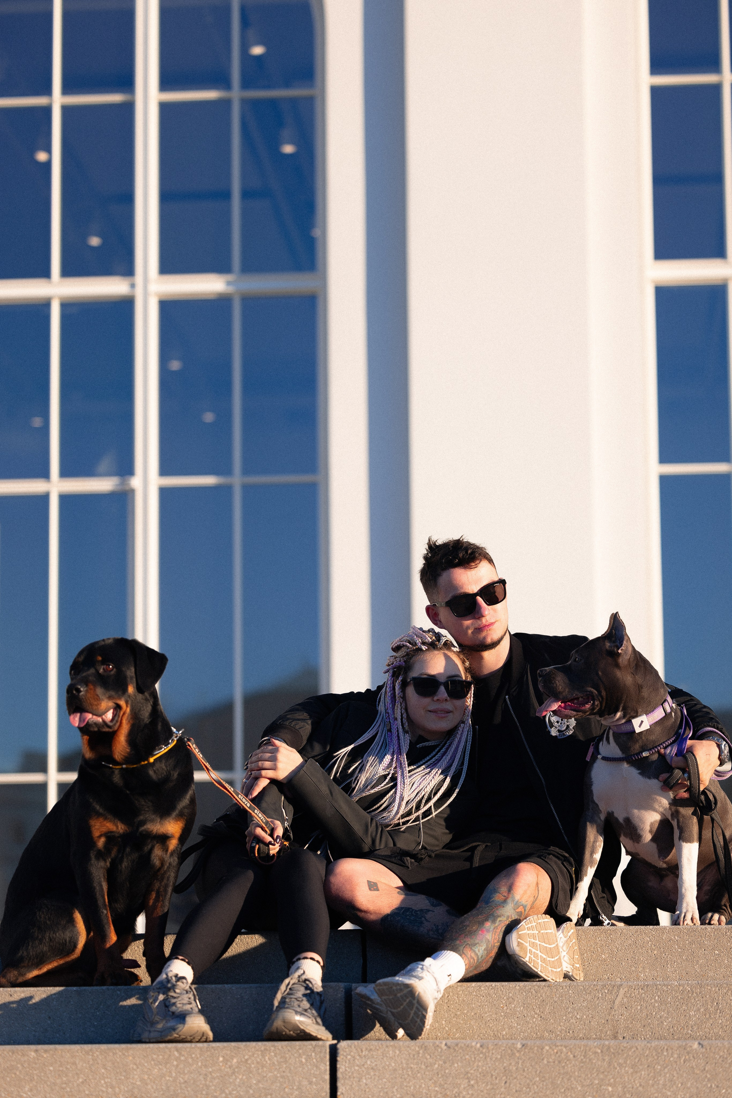 Катя, Леша, Трой и Лея. Фотограф и видеограф анималист Аганина Дарья