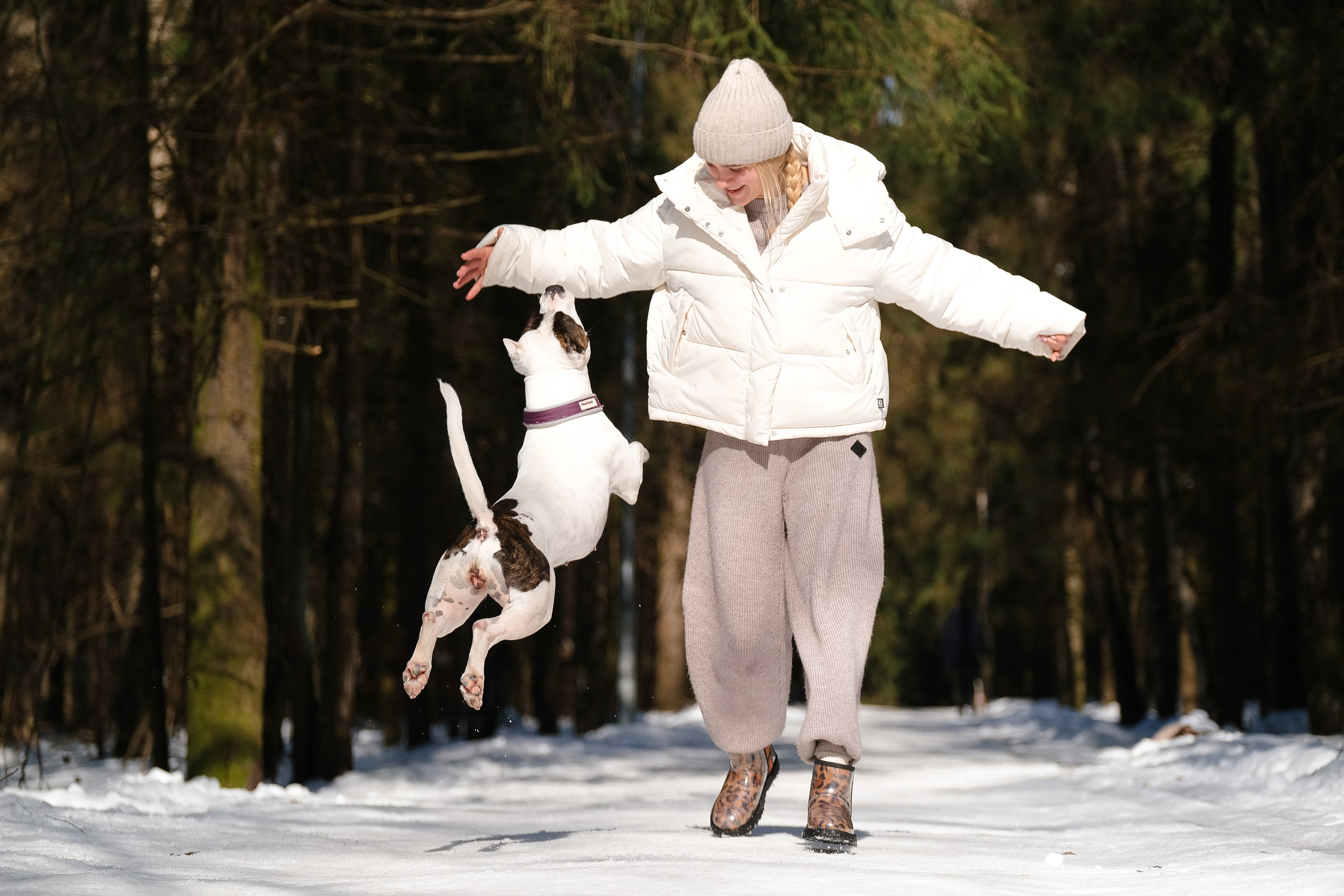 Женя, Афра и Молли. Фотограф и видеограф анималист Аганина Дарья