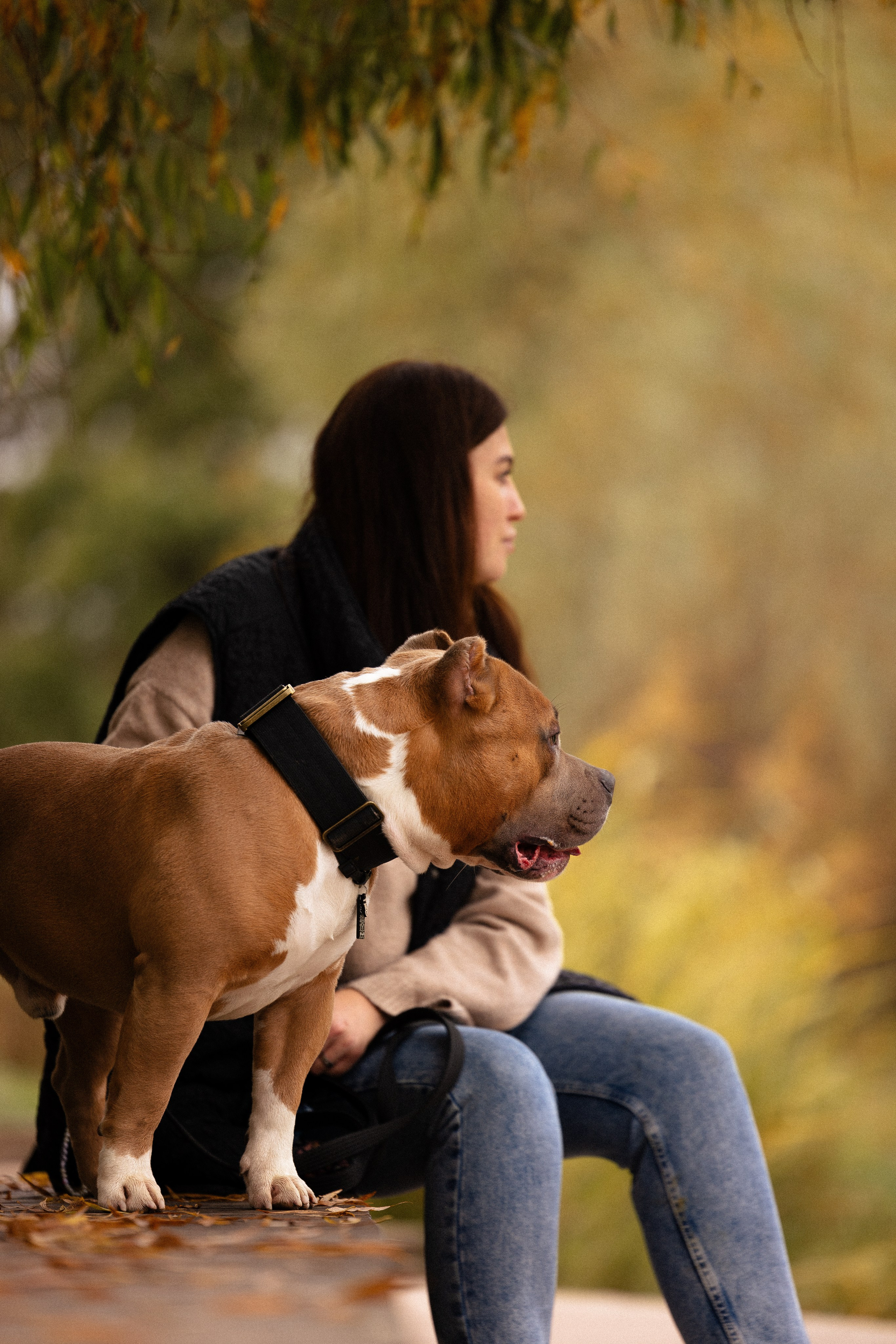 Алена и Тор. Фотограф и видеограф анималист Аганина Дарья