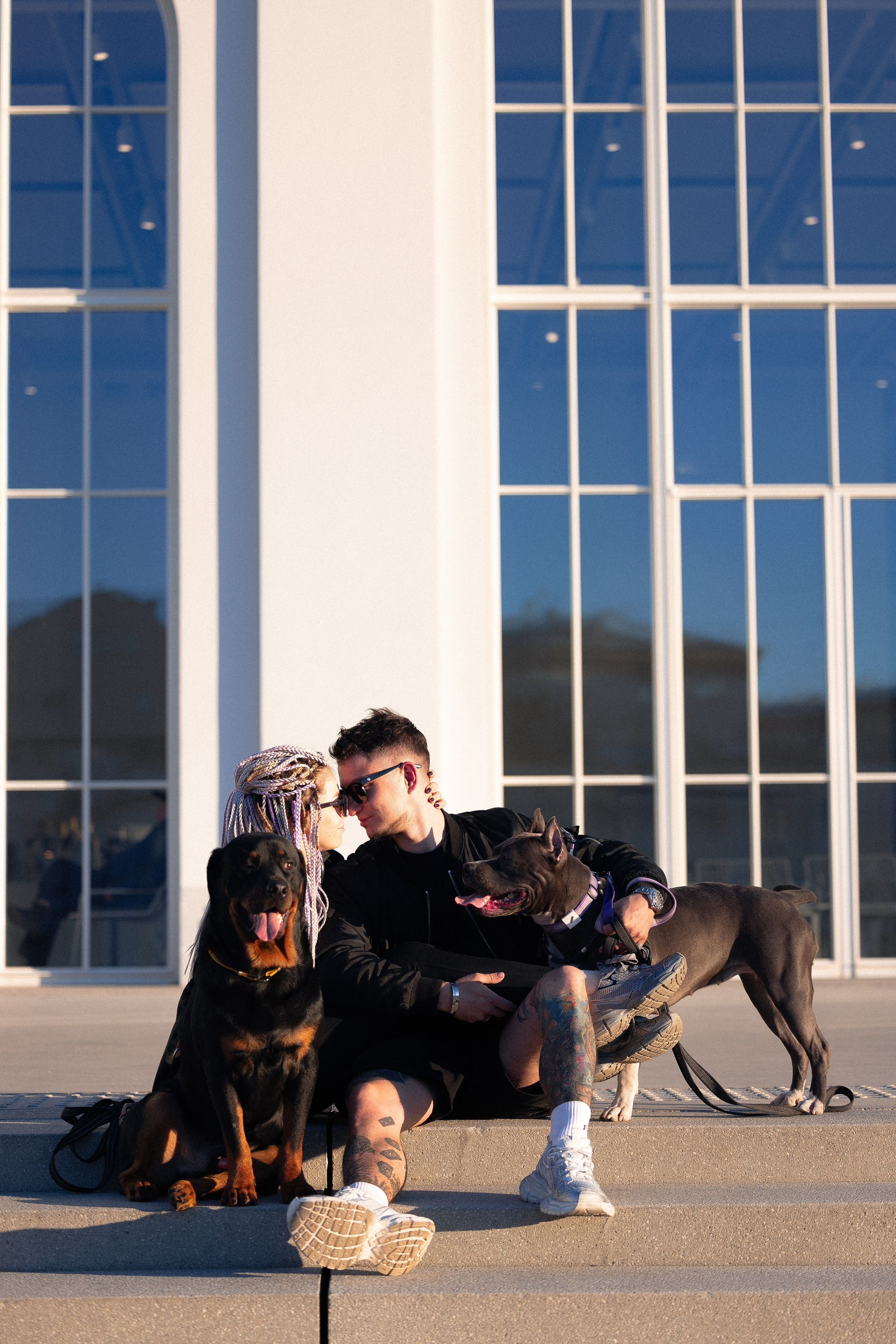 Катя, Леша, Трой и Лея. Фотограф и видеограф анималист Аганина Дарья