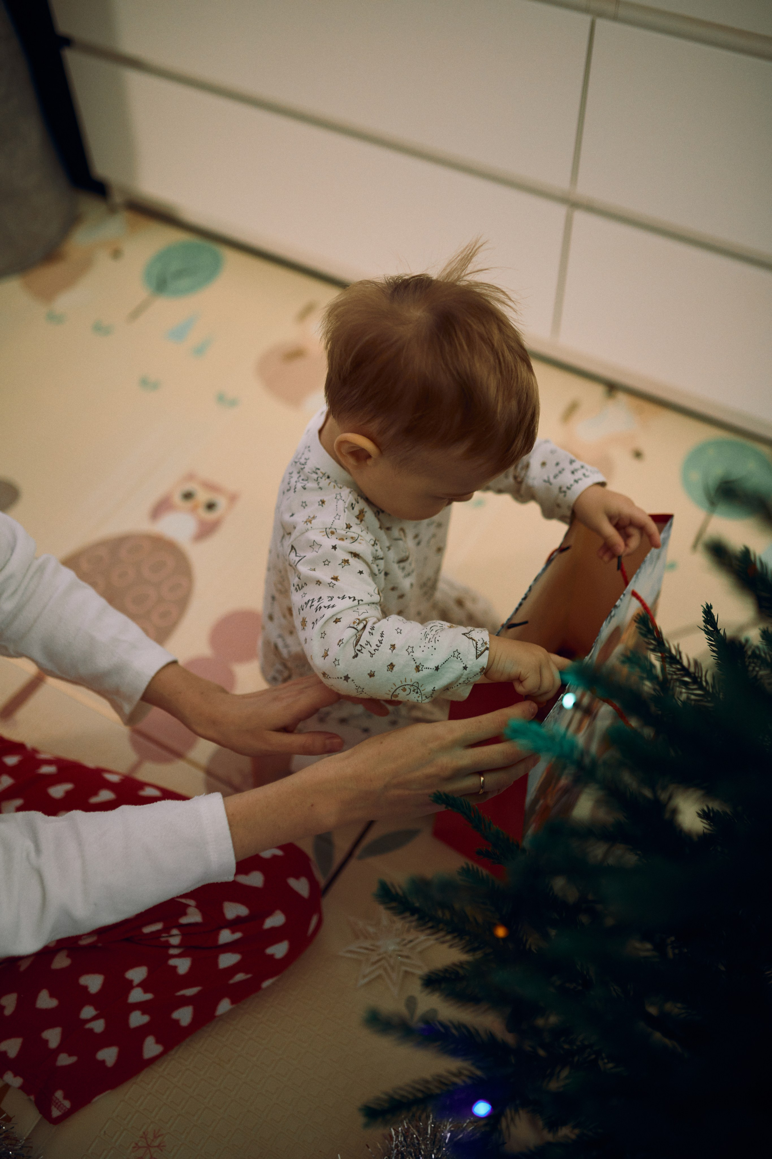 Дед Мороз, ВЫХОДИ!. Фотограф Ионова Анастасия, г Владивосток