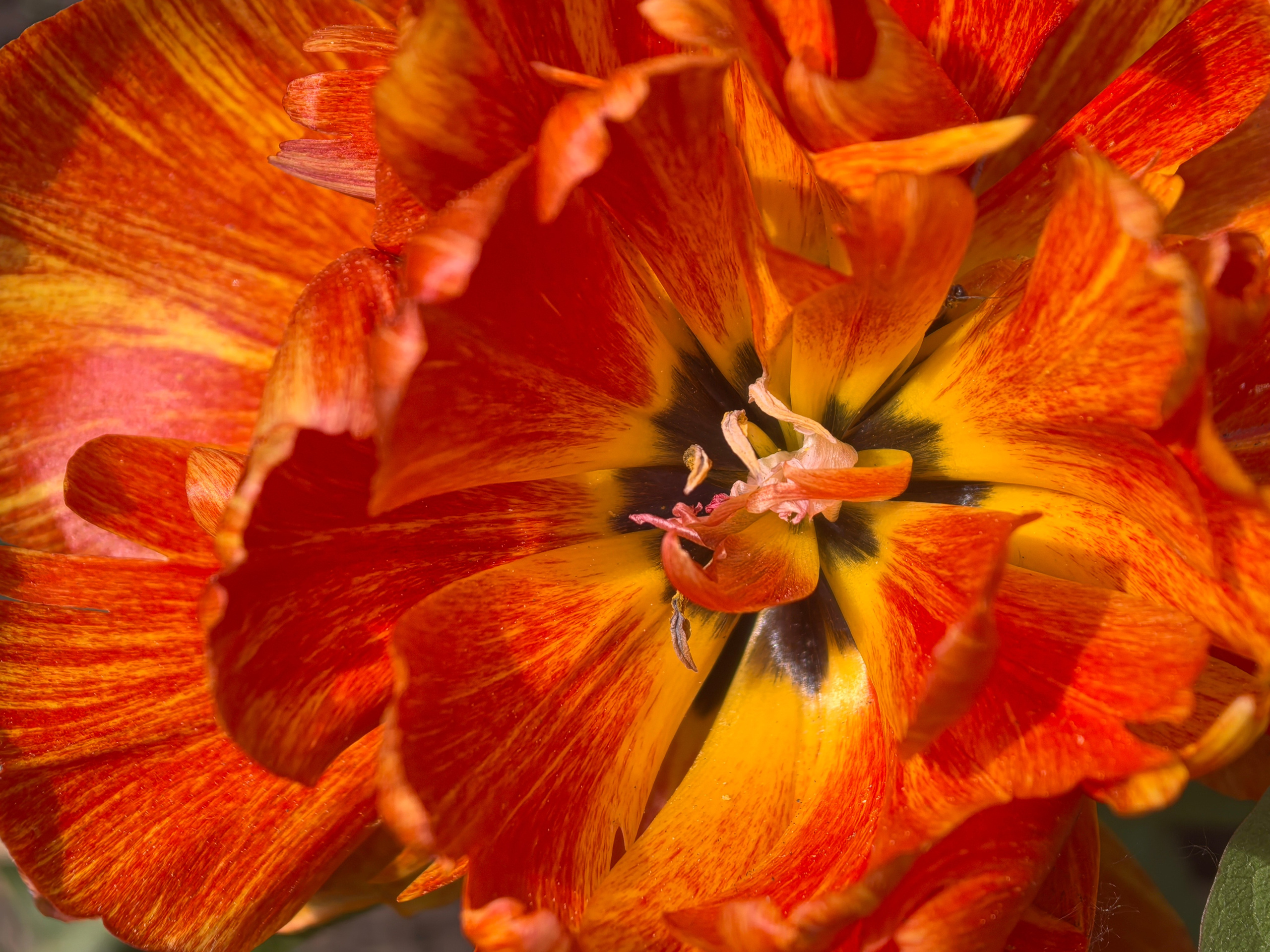 ПочтиМАКРО. Школьные выпускные альбомы в Москве Марина Николаева