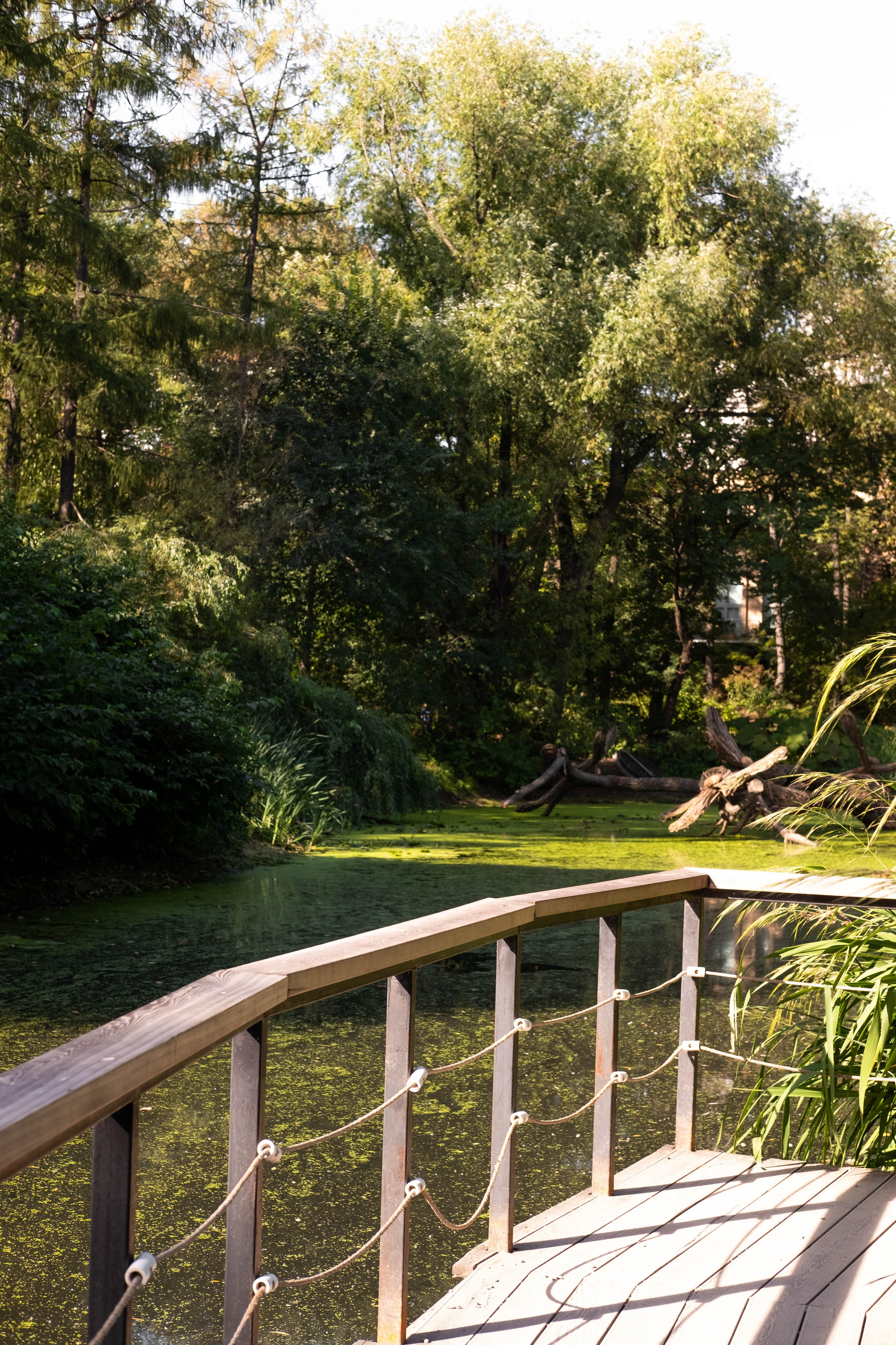 Москва 2024. Свадебный и семейный фотограф в Новосибирске, Санкт-Петербурге, Москве