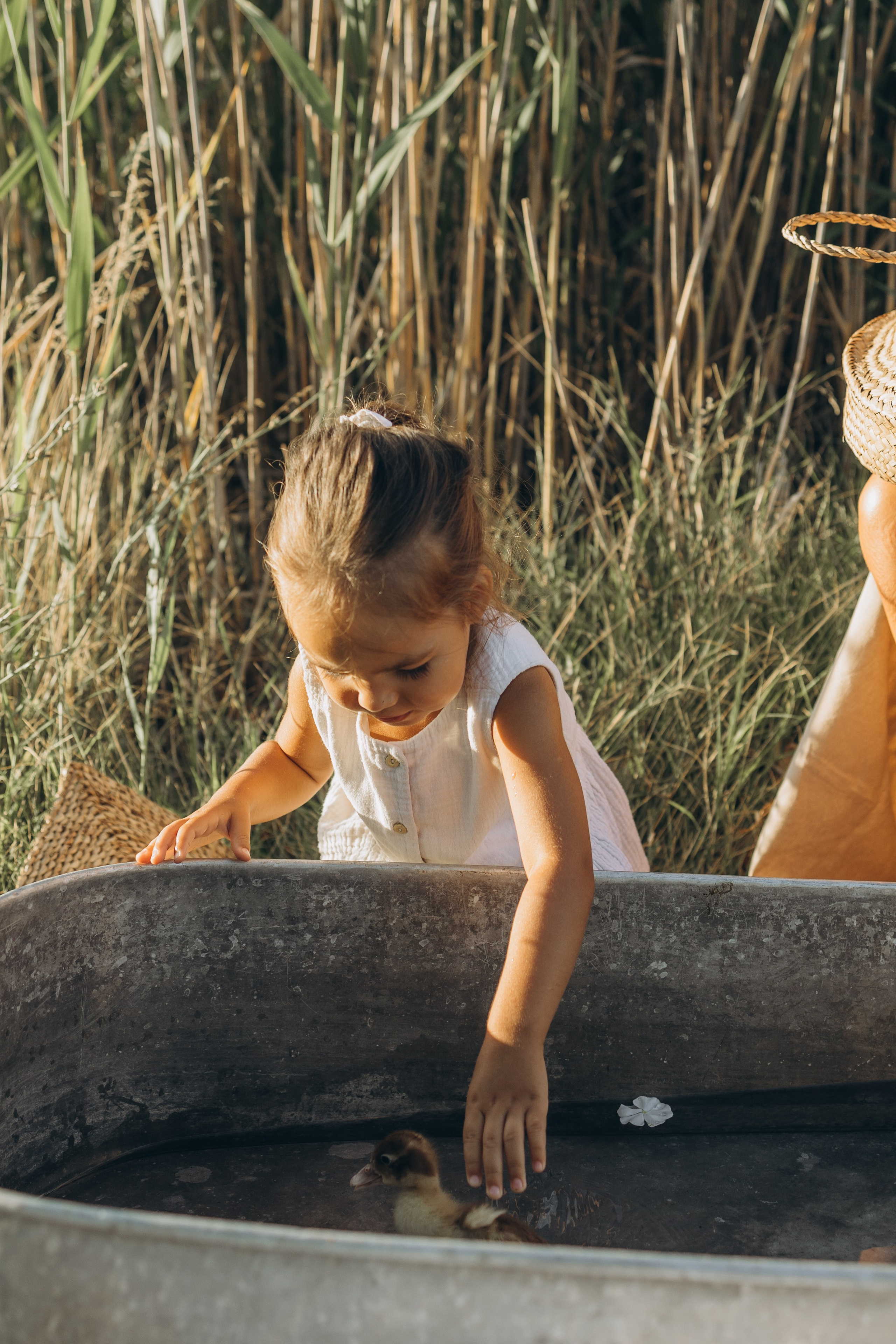 Алина и Алиса. Семейный фотограф в Москве Виктория Ястребинская