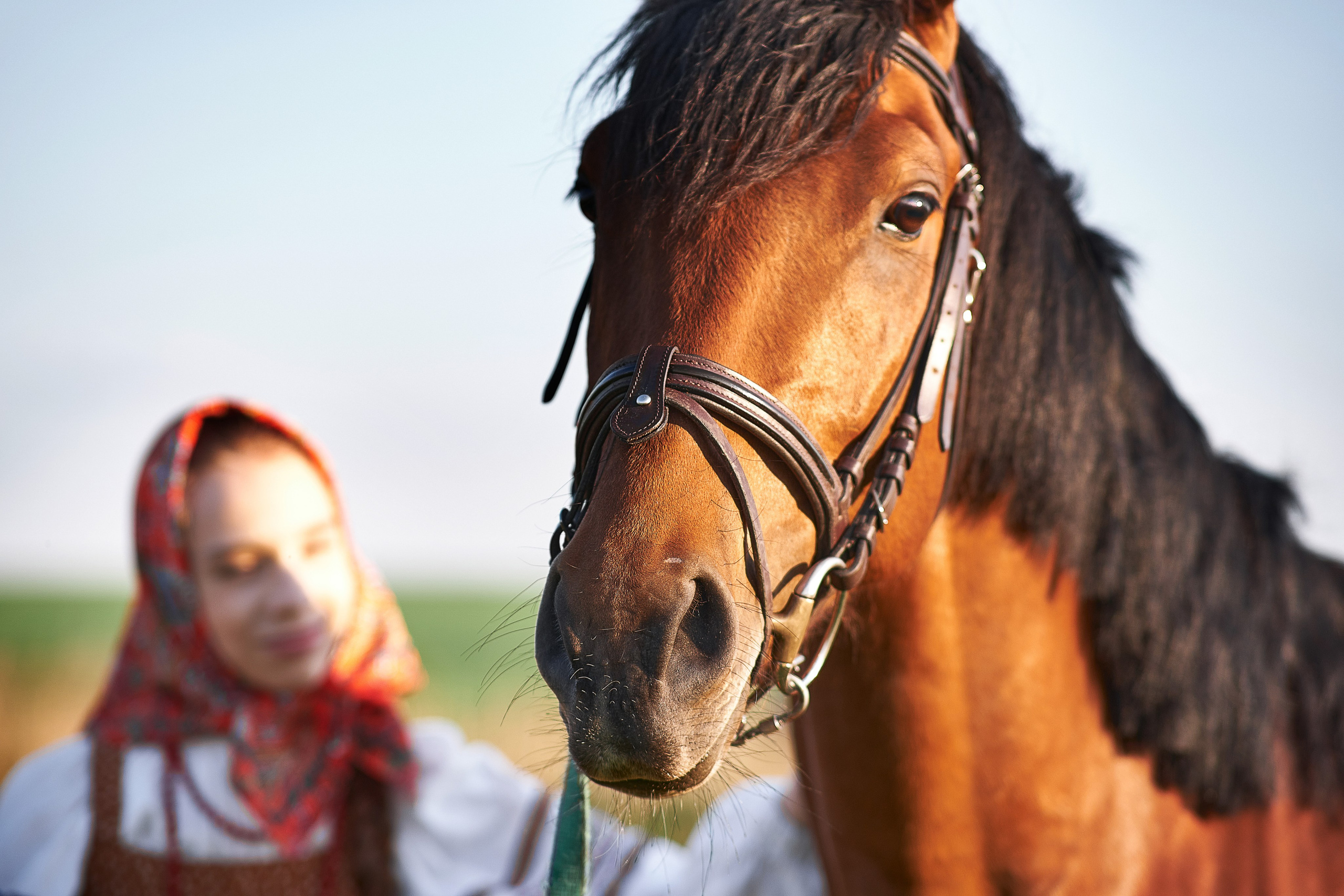 Фотосессия с лошадью в костюмах. Семейный и женский фотограф в Новомосковске и Узловой Михеева Татьяна