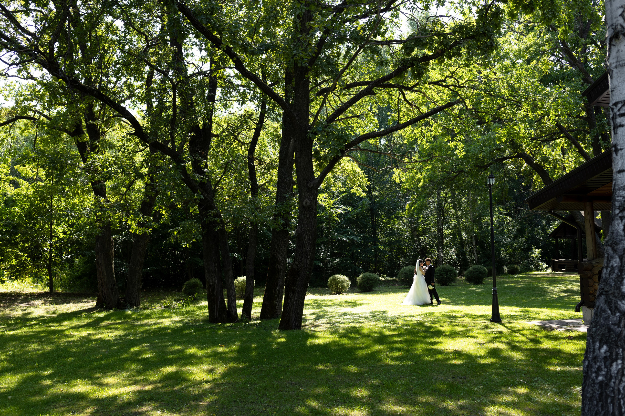 Дарья | Шариф. Свадебный фотограф Александра Попова
