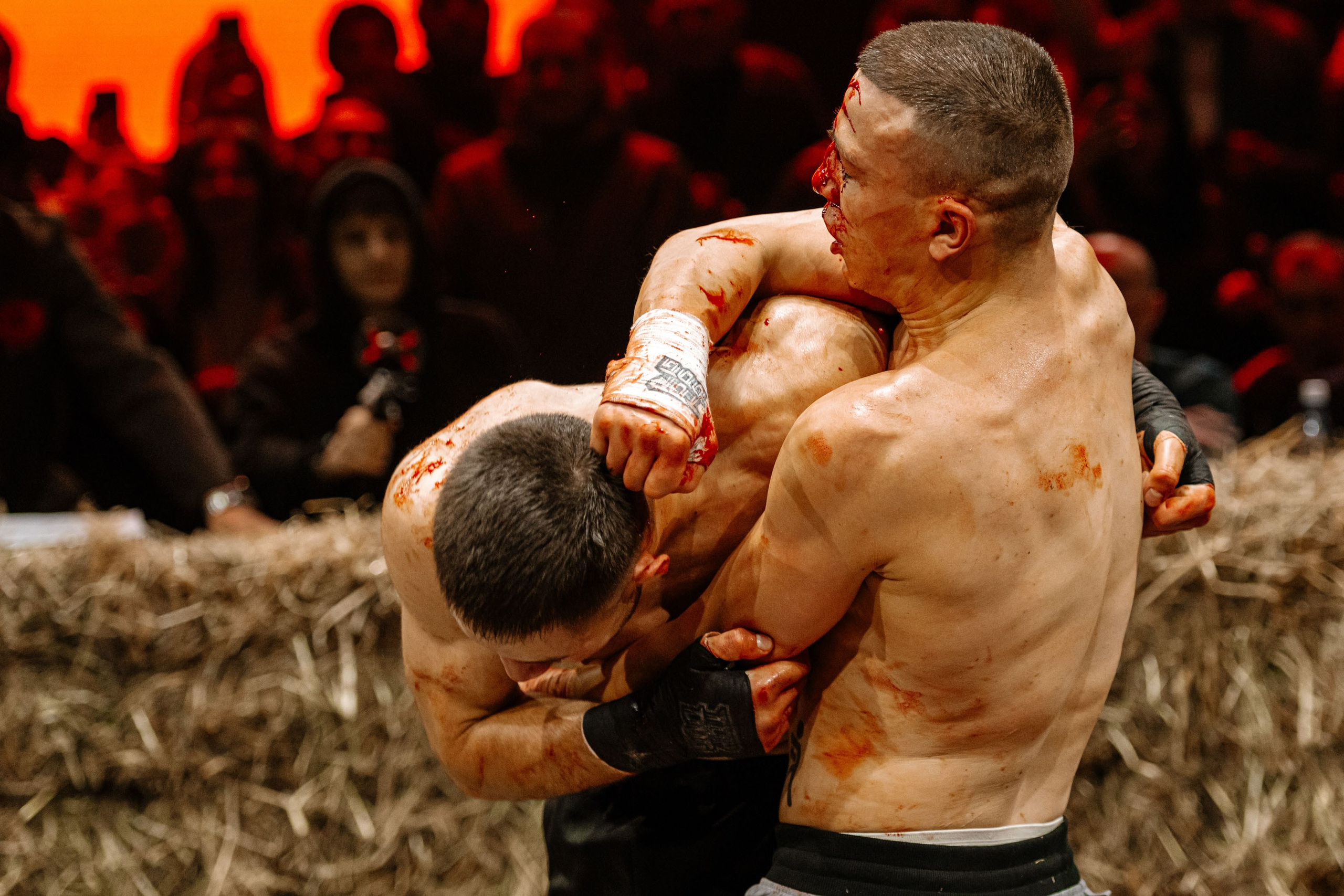 TOP DOG. Максим Комаров — Профессиональный фотограф