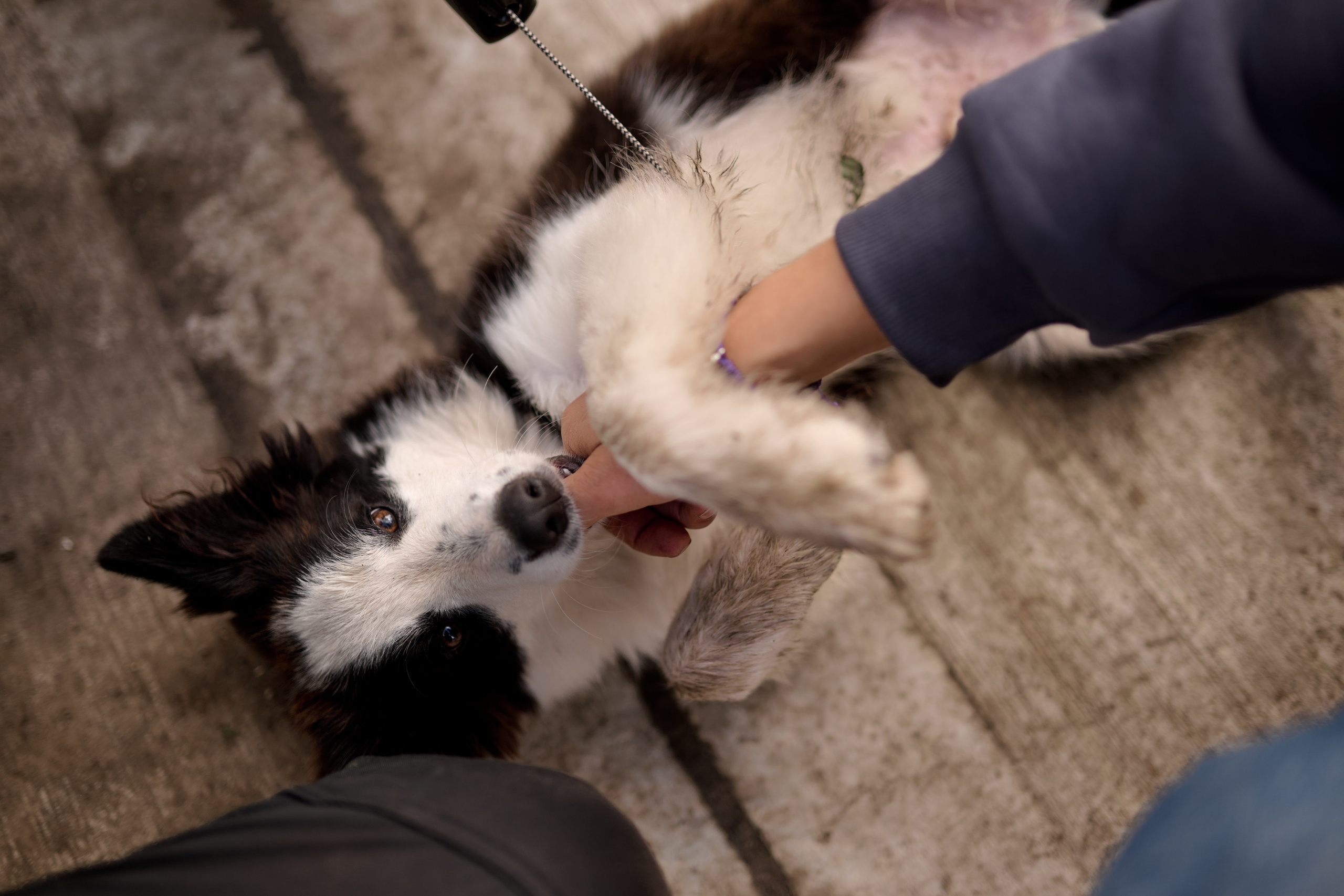 4 этап кубка Ракета 2025 год. Сергей Богомолов. Свадебный и семейный фотограф