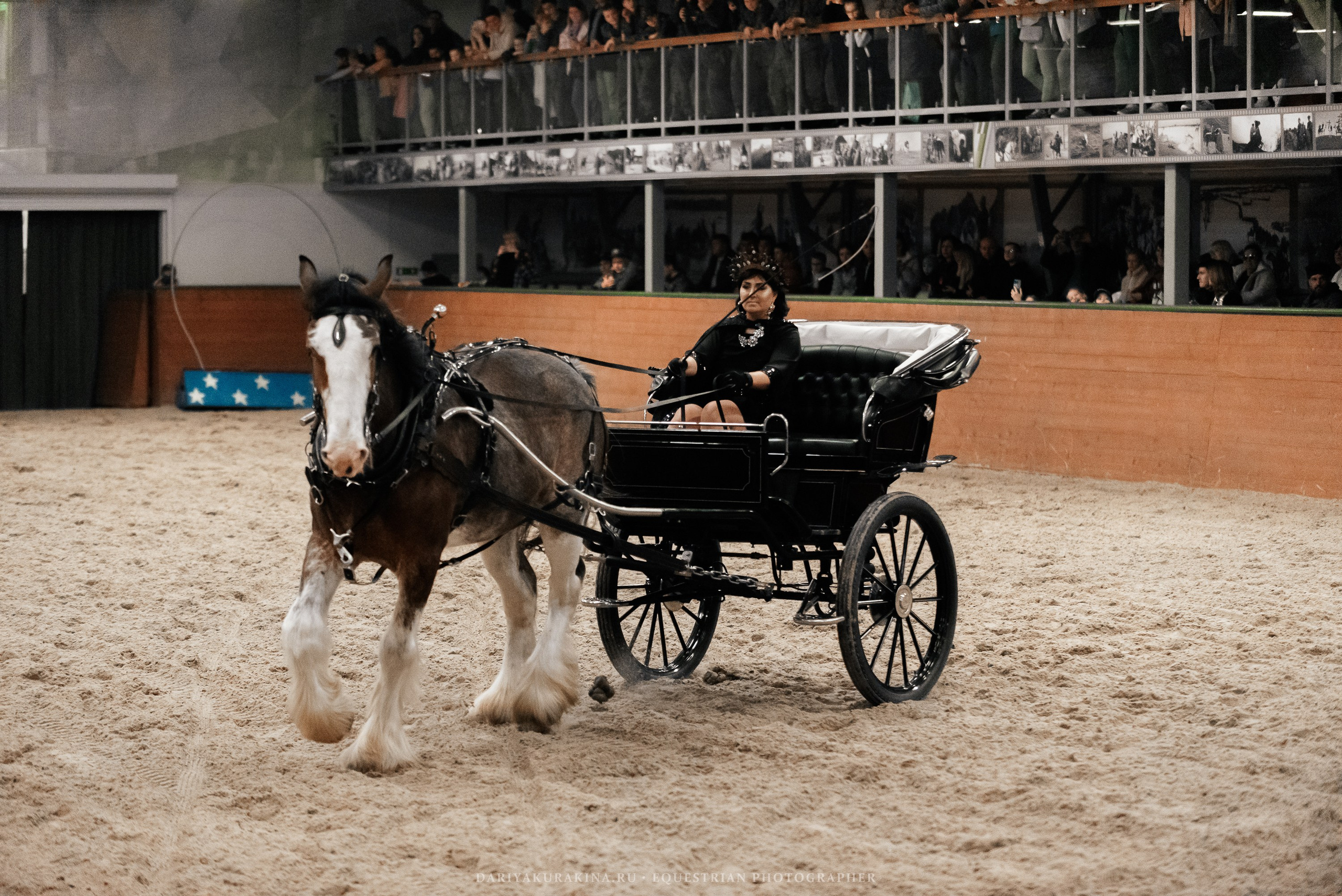 Конное представление «Дыхание Звёзд». Конный фотограф Куракина Дарья • Фотосессии с лошадьми