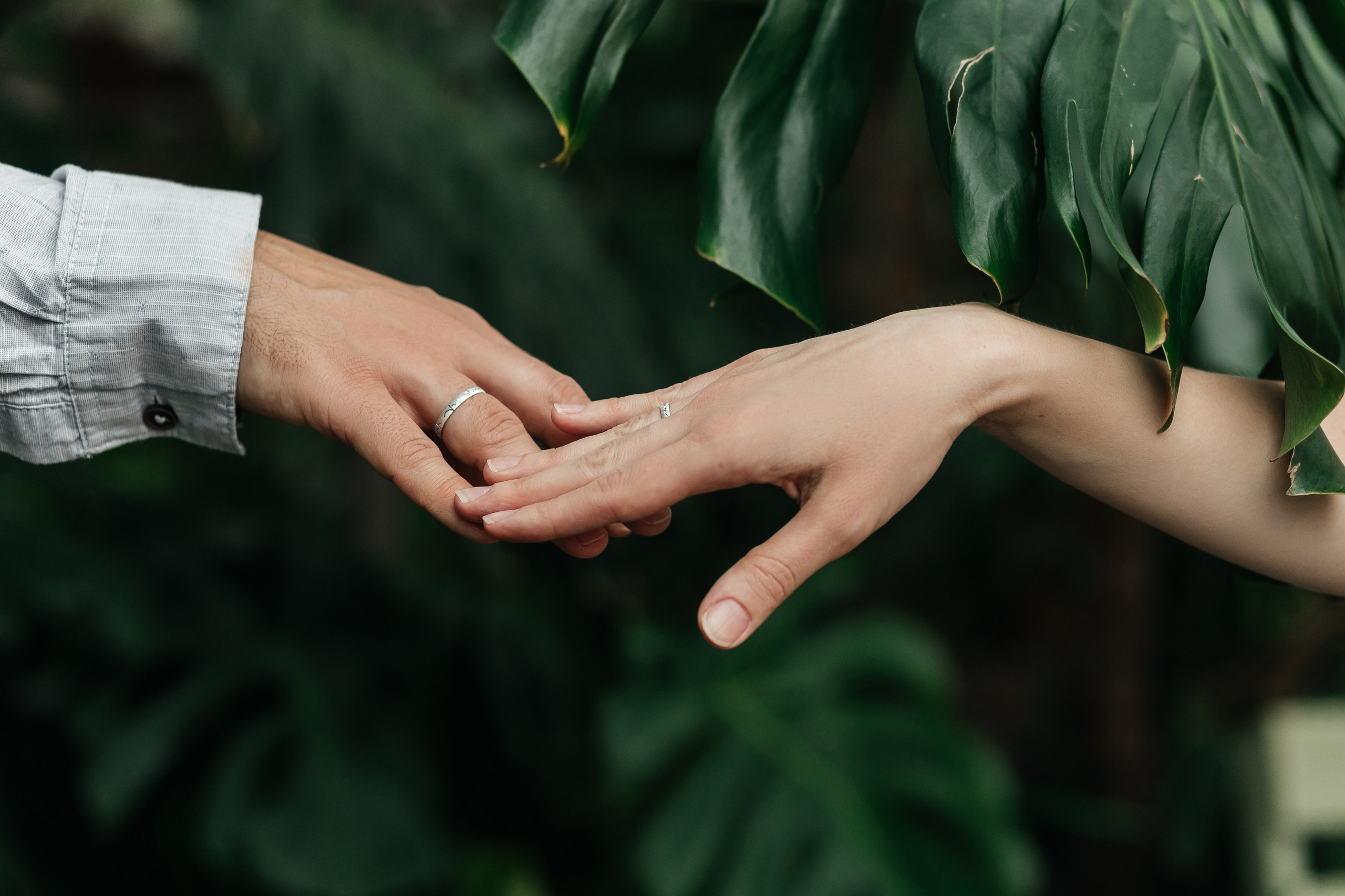 Андрей и Елена. Семейный фотограф, свадебный фотограф, женский портрет в Санкт-Петербу