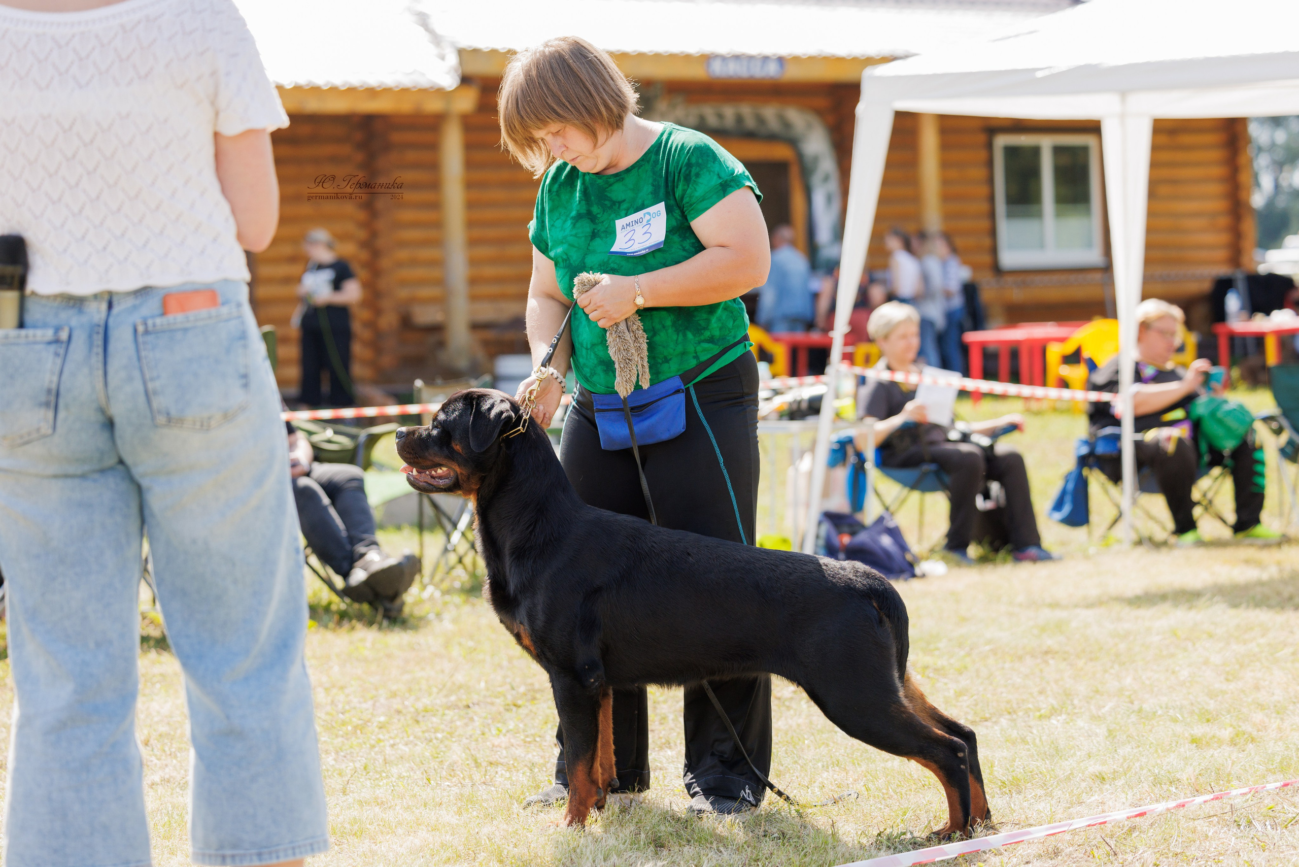 Рязань-Ховрино 10-11.08.2024 3хмоно ротвейлеров. Фотограф-анималист Юлия Германика