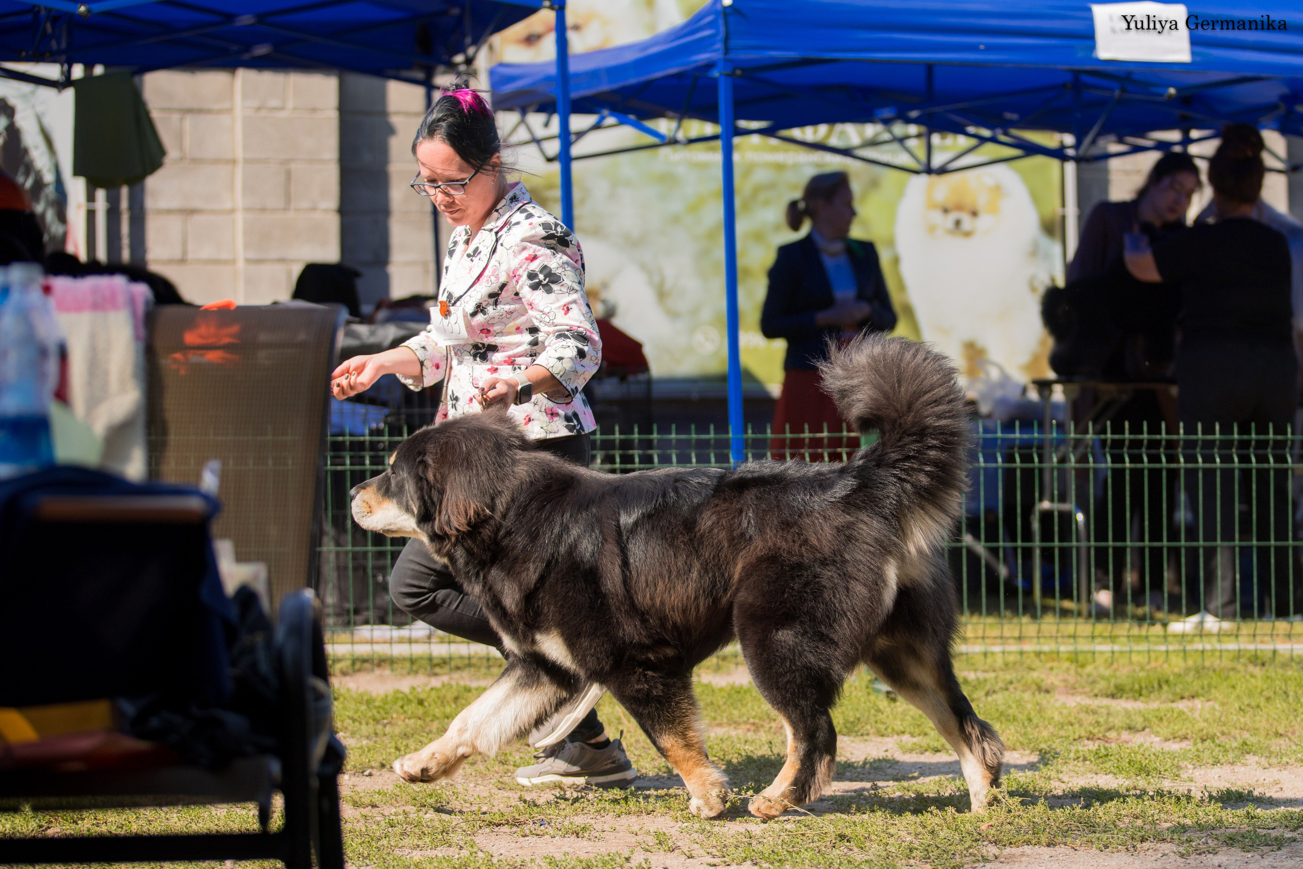 Бишкек 29.09-01.10.2023. Фотограф-анималист Юлия Германика