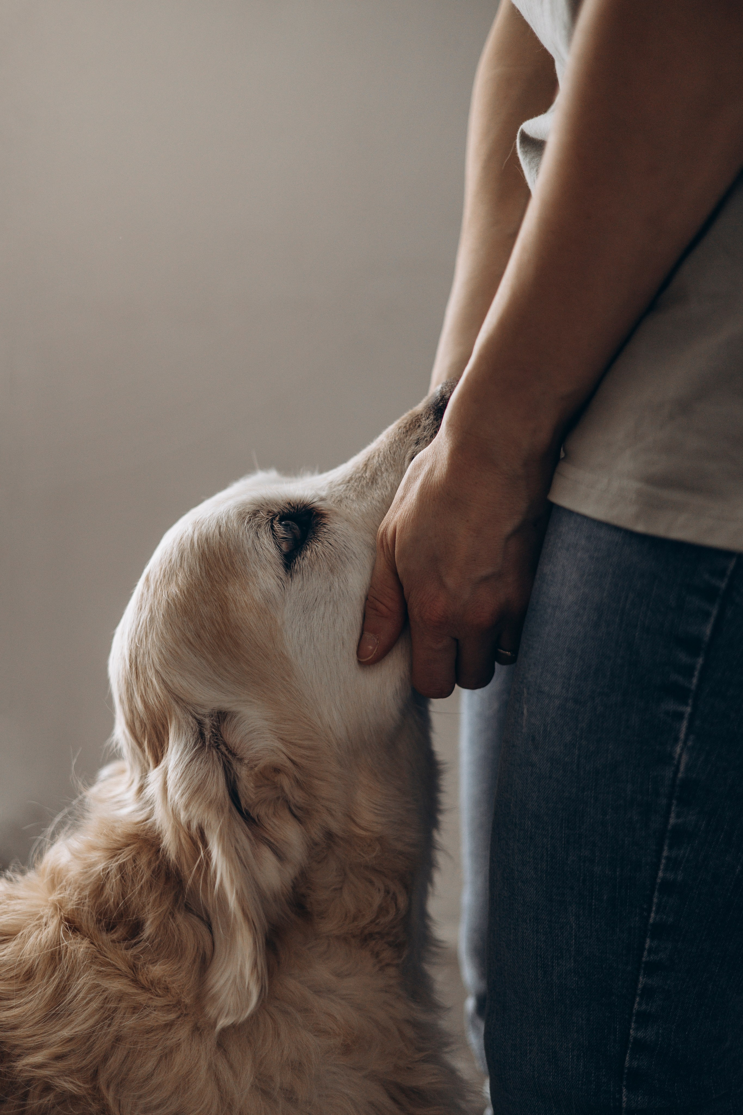 Ирина и Луна. Фотограф — Анималист | Санкт-Петербург