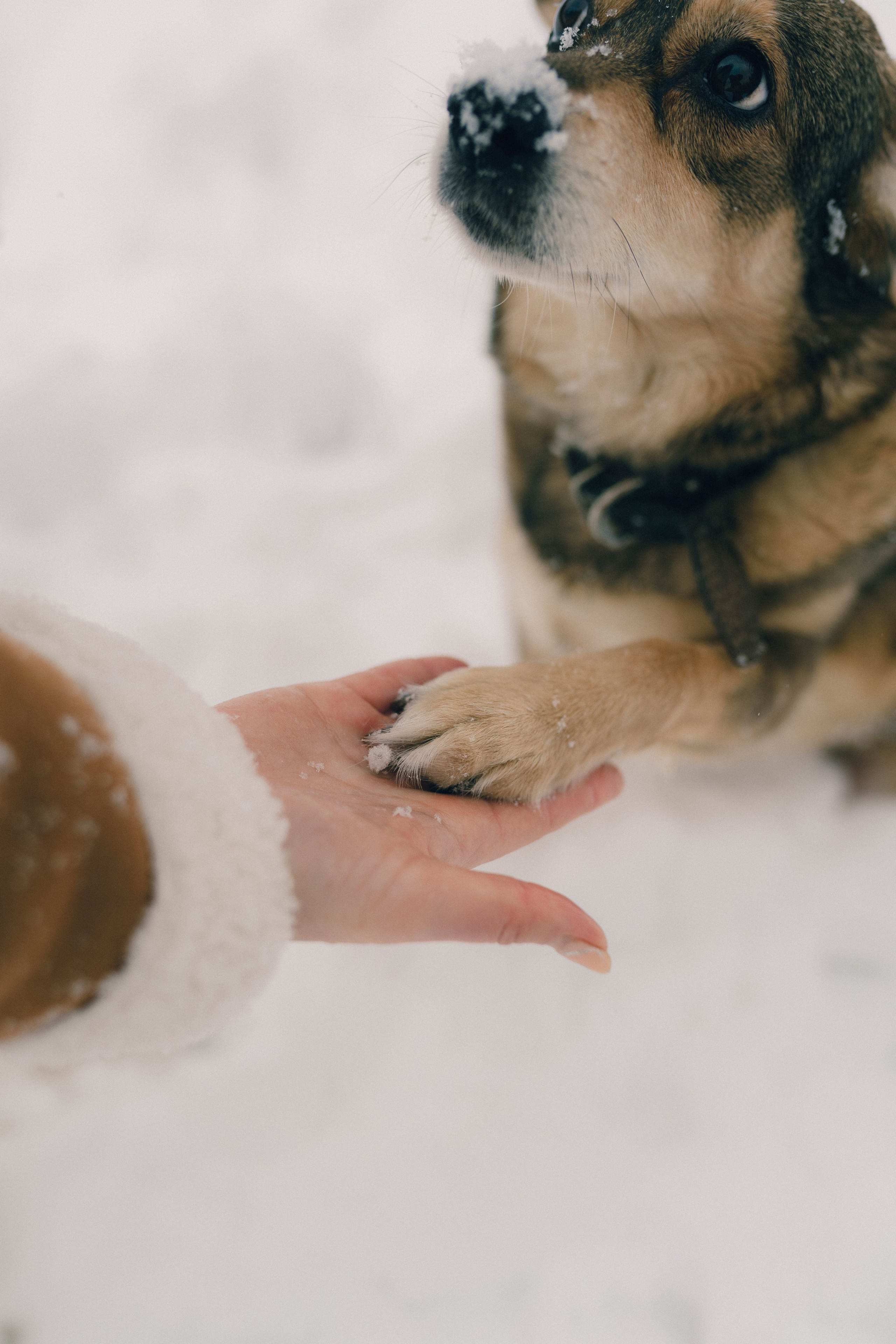 Дарина. Фотограф Екатерина Катунова | Москва