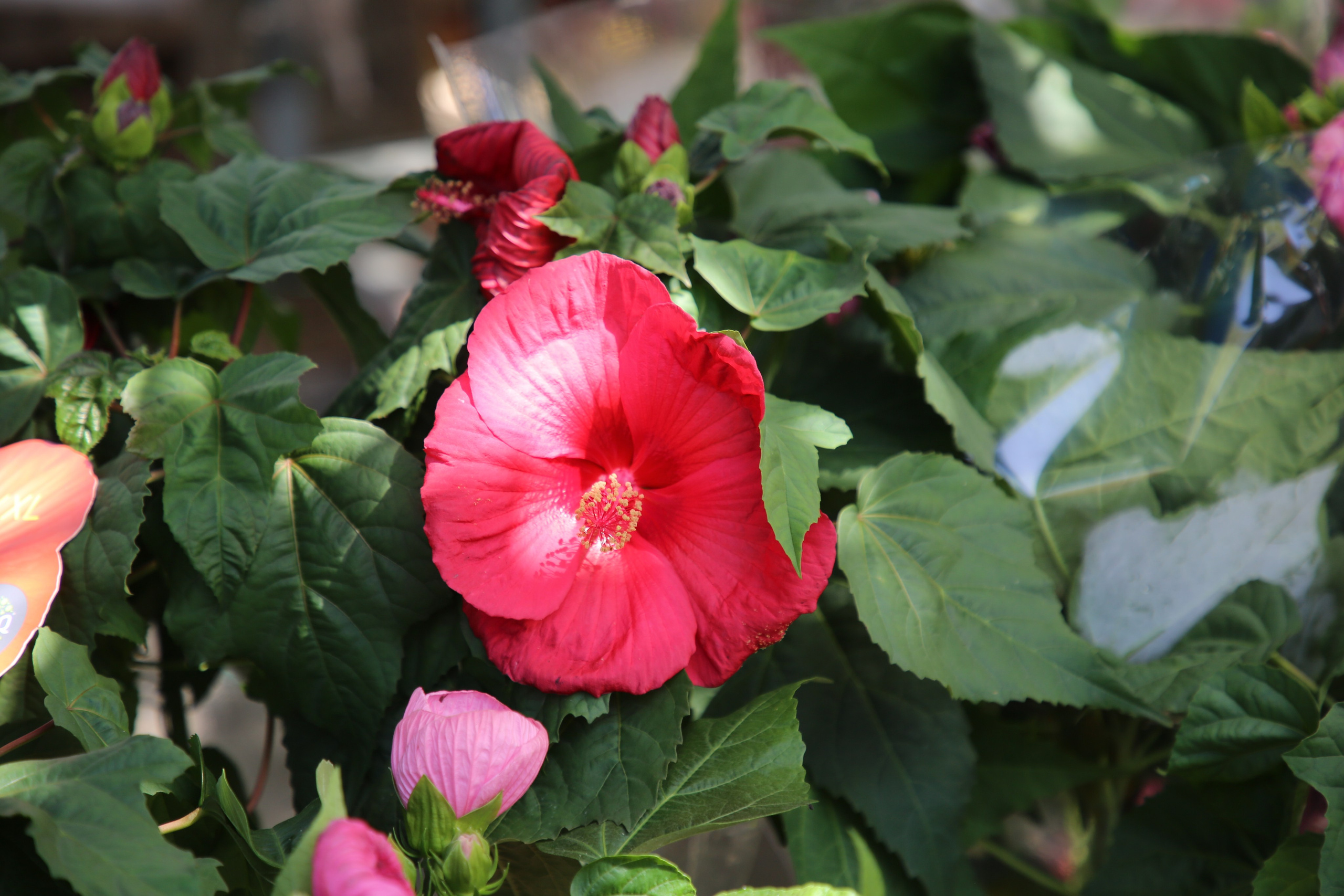 Espihnio, Portugal. Andrey Filippov Photographer