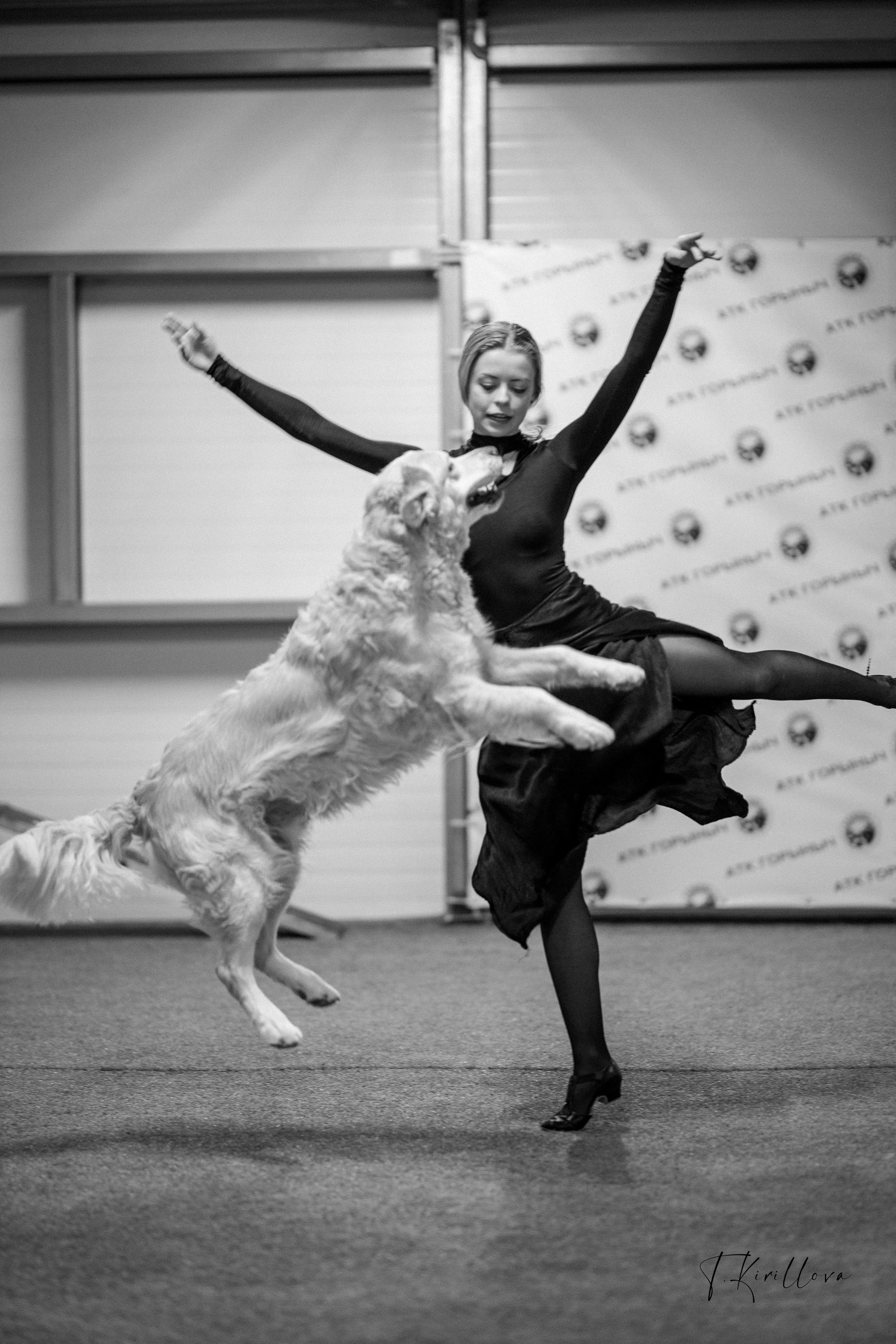 Лагерь по танцам 2026. Фотограф-анималист в Москве Кириллова Татьяна