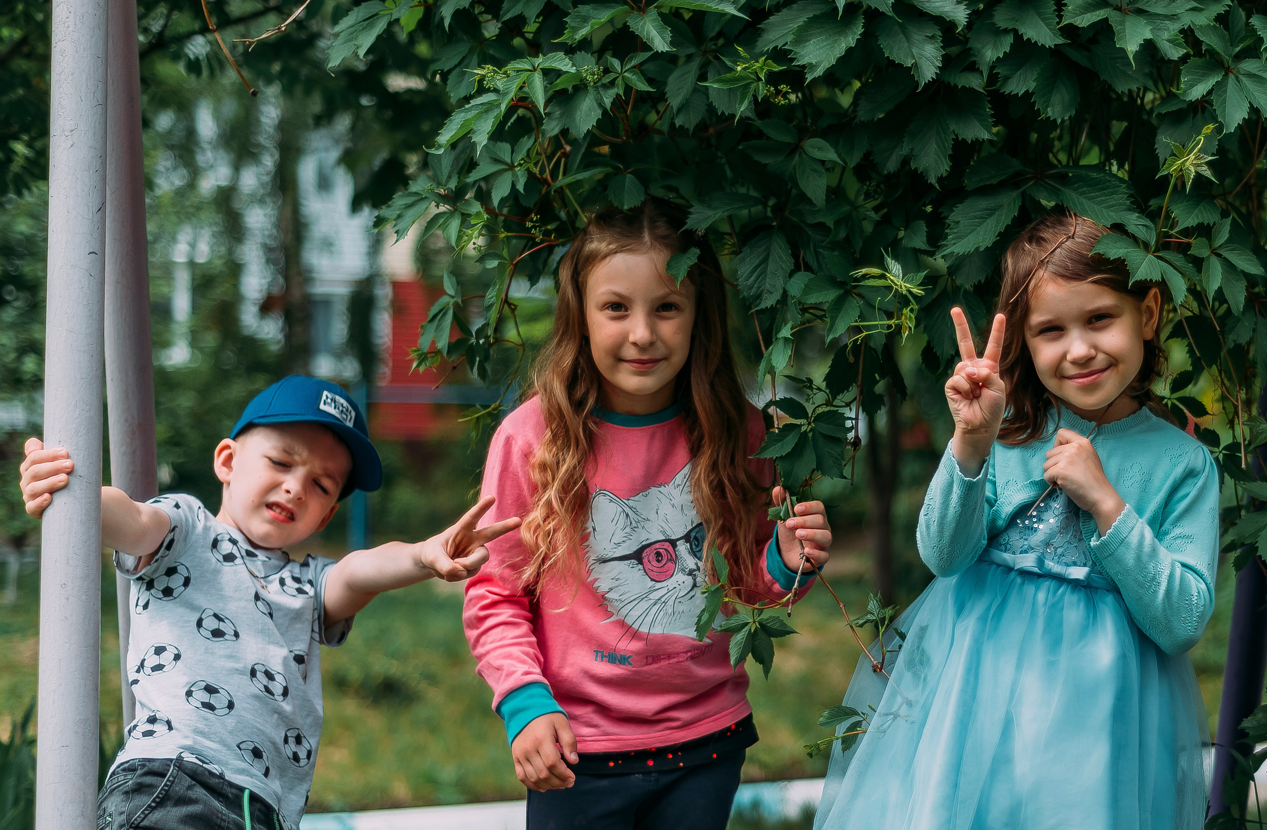 Детский сад |п.Дубовое|2023. ALBUMIA