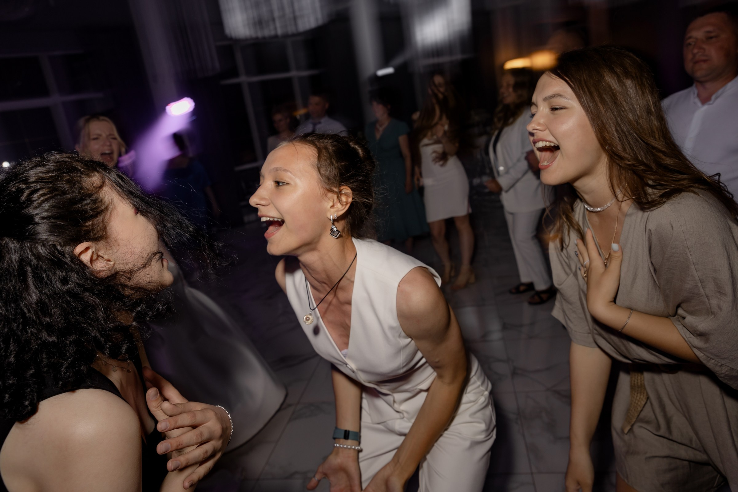 Свадьба пес и котики. Dima Lemeshevsky