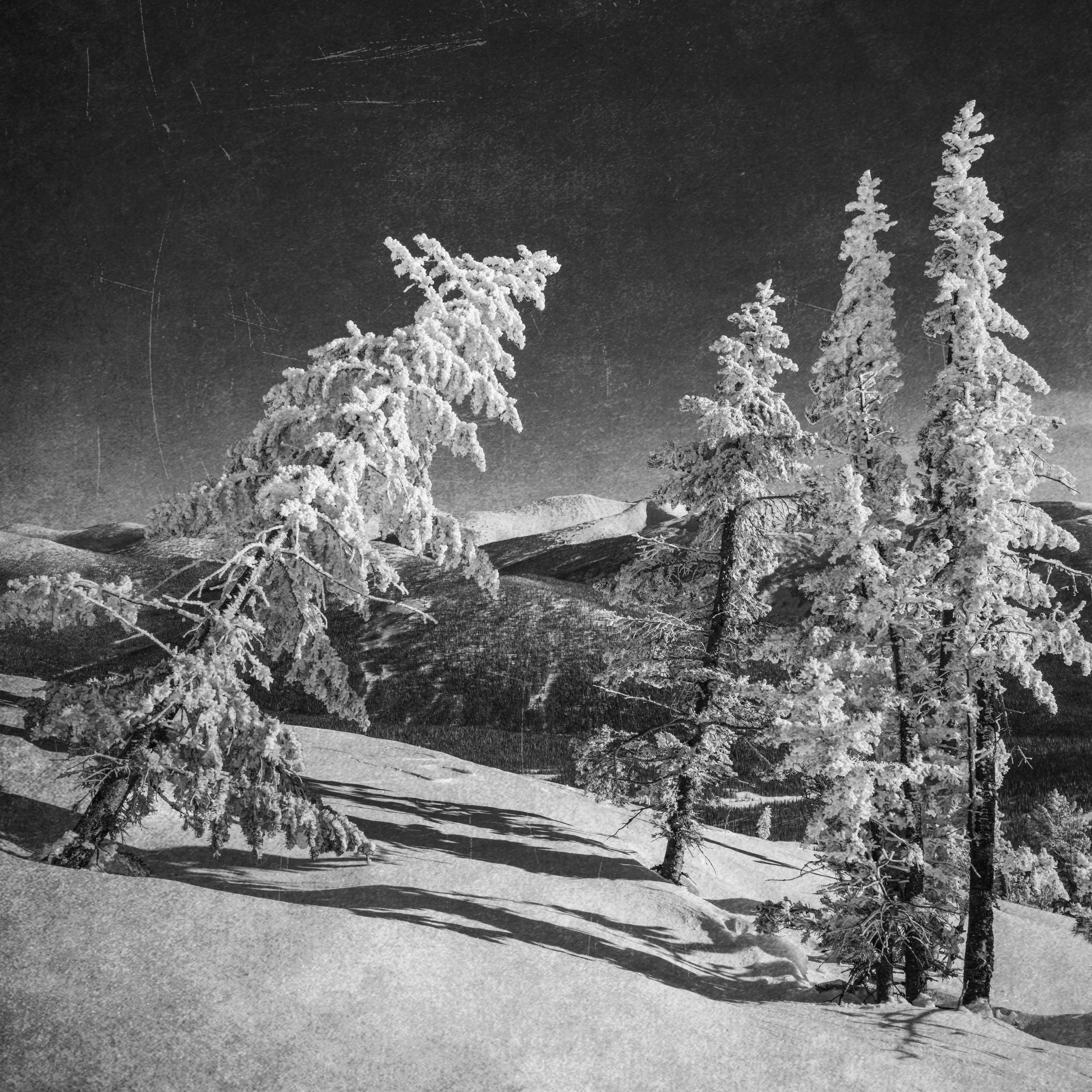 Фотопроект «Один к одному». Арт-фотограф Михаил «Данко»», г. Новосибирск