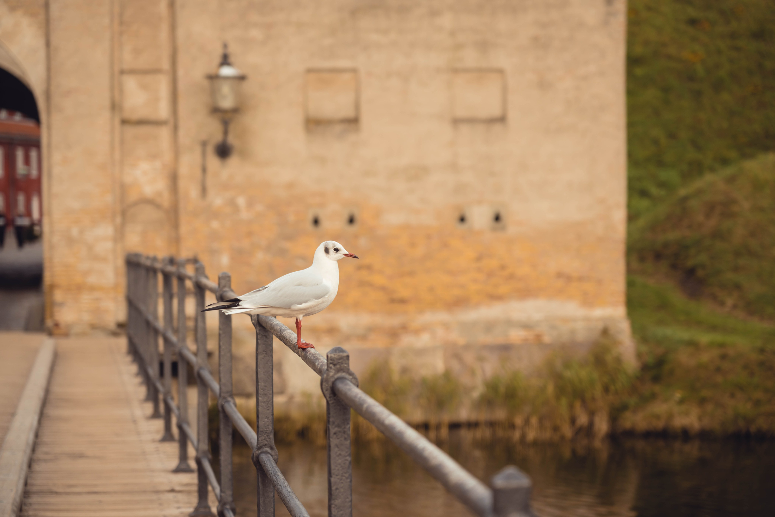 Дания. Фотографирую для себя, своей семьи и друзей!