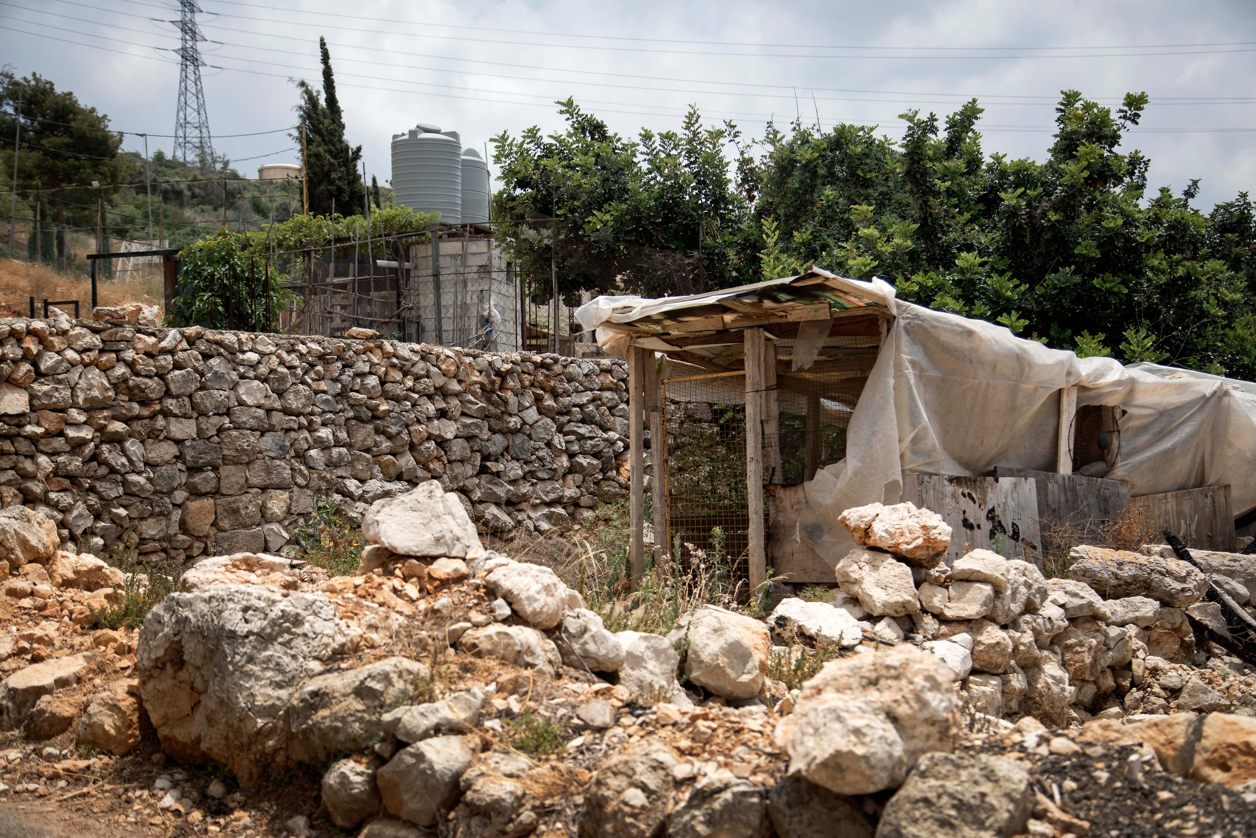 Lera. Семейный и детский фотограф в Санкт-Петербург. Natalia Fadel