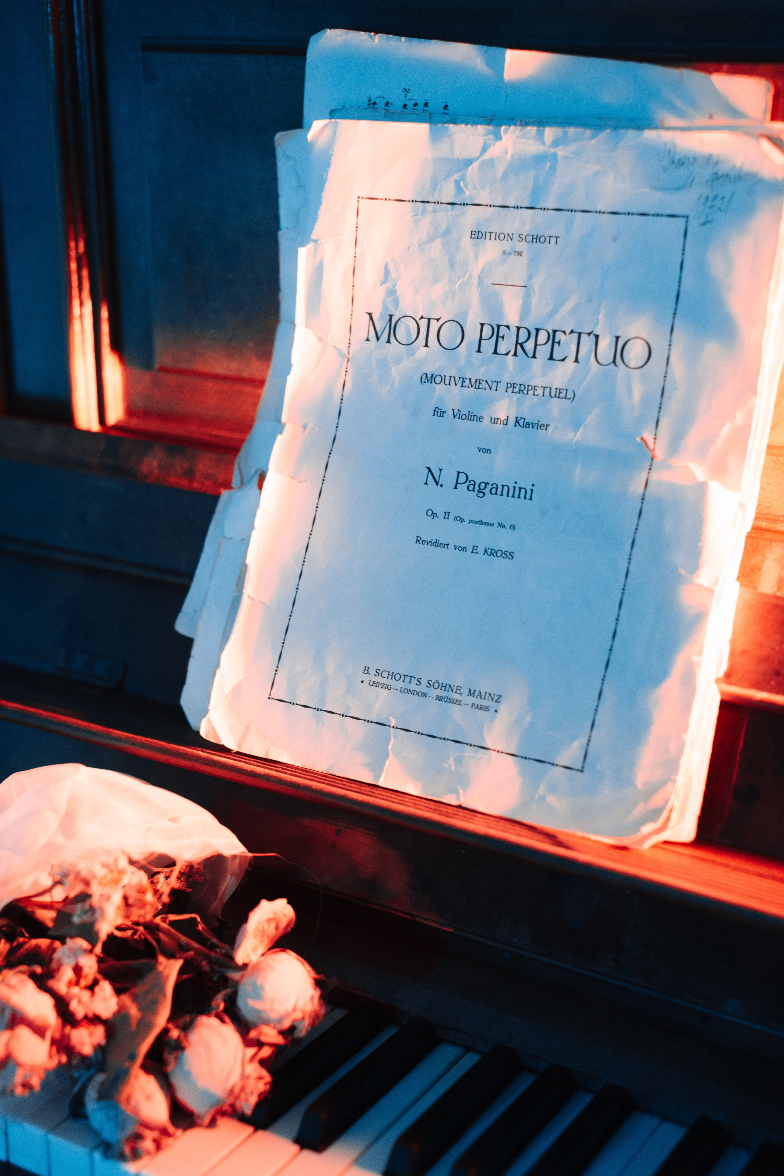 Corpse Bride cosplay (Kate and Antay) Bogdan vision. Wed Photographers 📷 Saint Petersburg