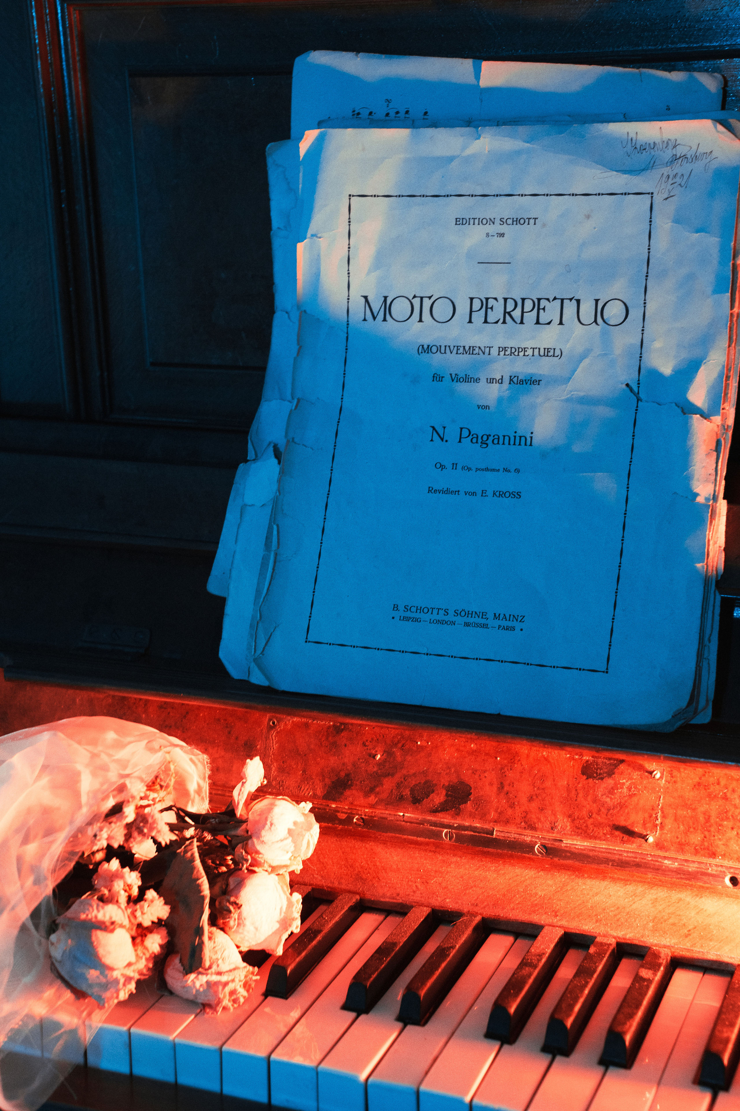 Corpse Bride cosplay (Kate and Antay) Bogdan vision. Wed Photographers 📷 Saint Petersburg