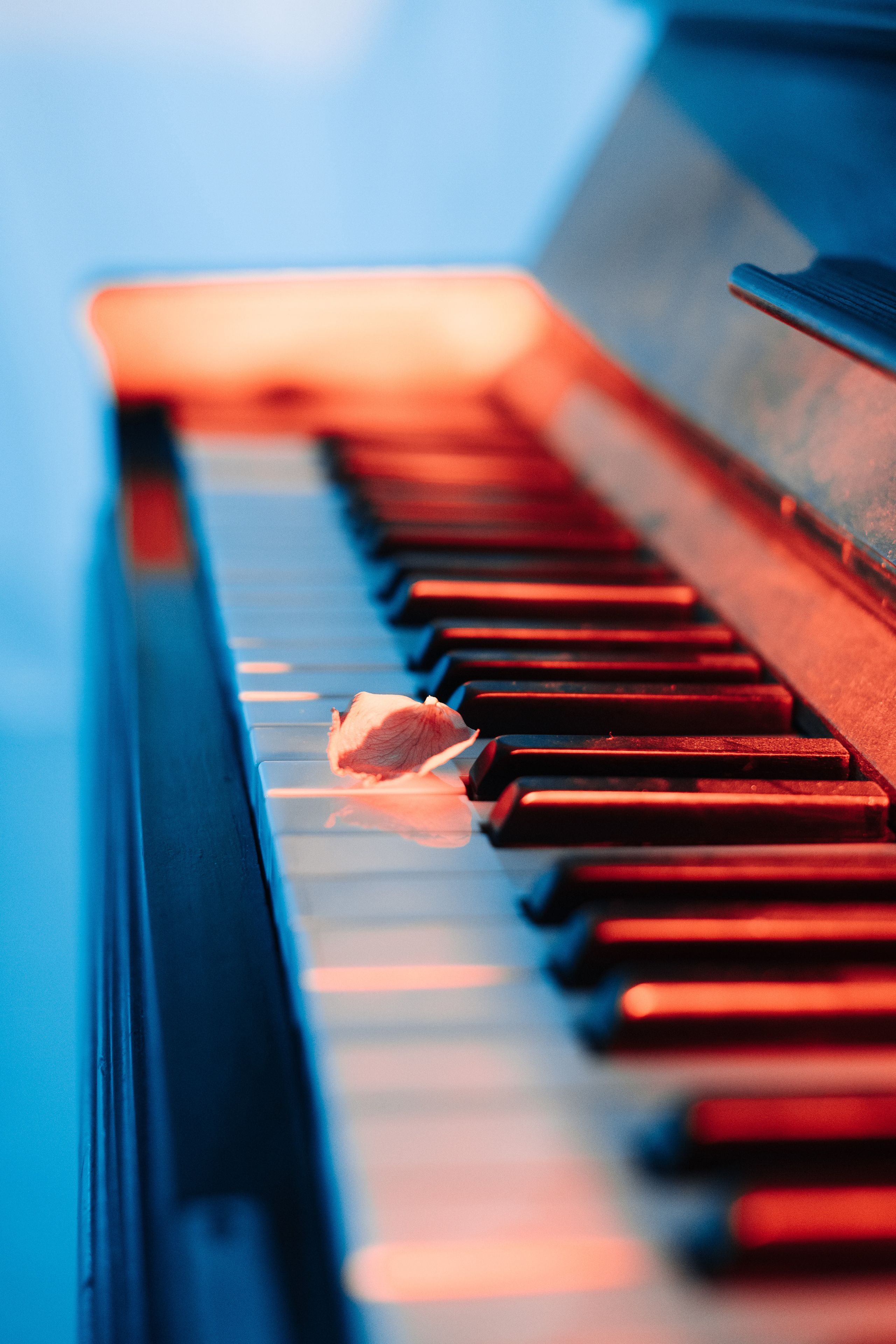 Corpse Bride cosplay (Kate and Antay) Bogdan vision. Wed Photographers 📷 Saint Petersburg