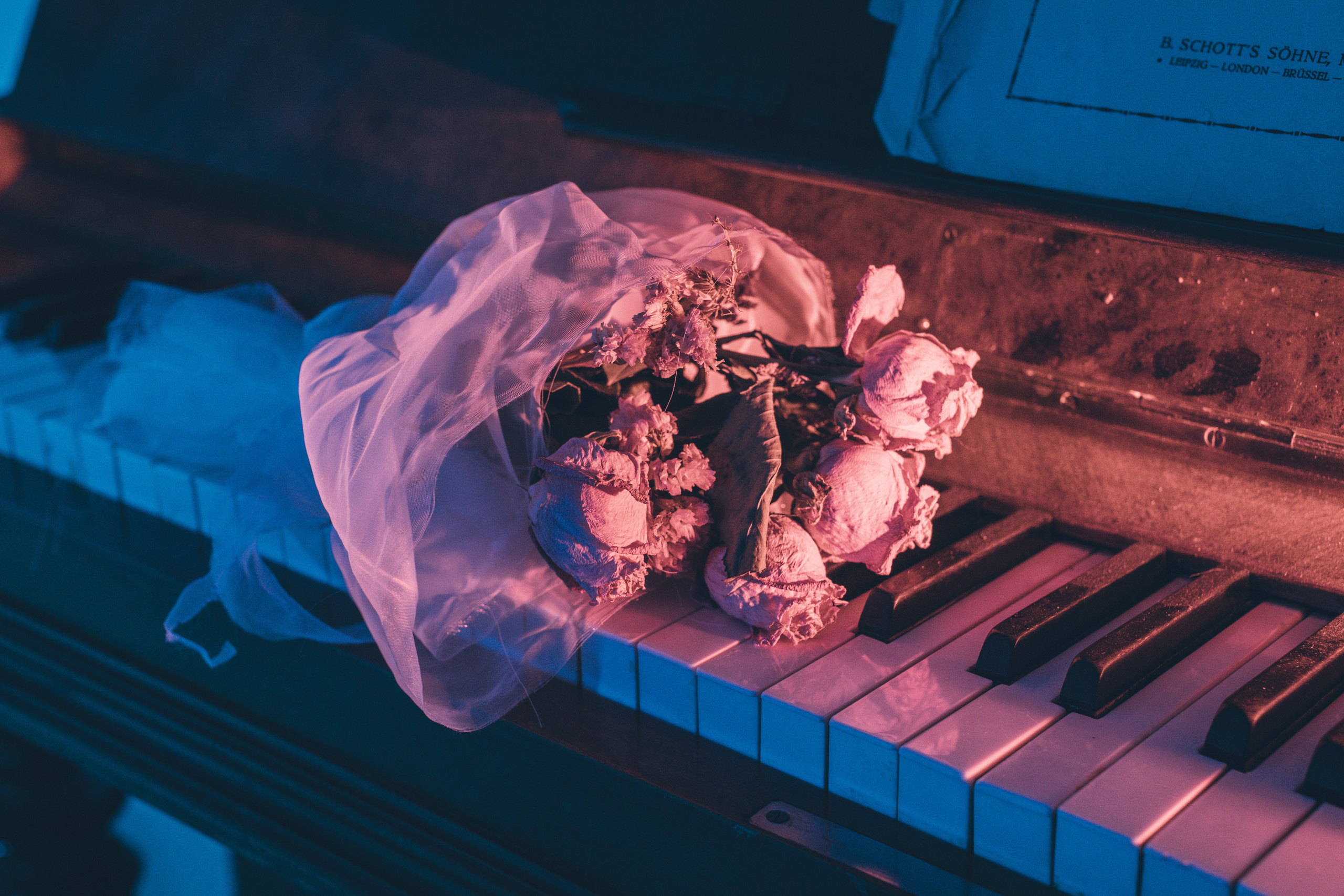 Corpse Bride cosplay (Kate and Antay) Bogdan vision. Wed Photographers 📷 Saint Petersburg