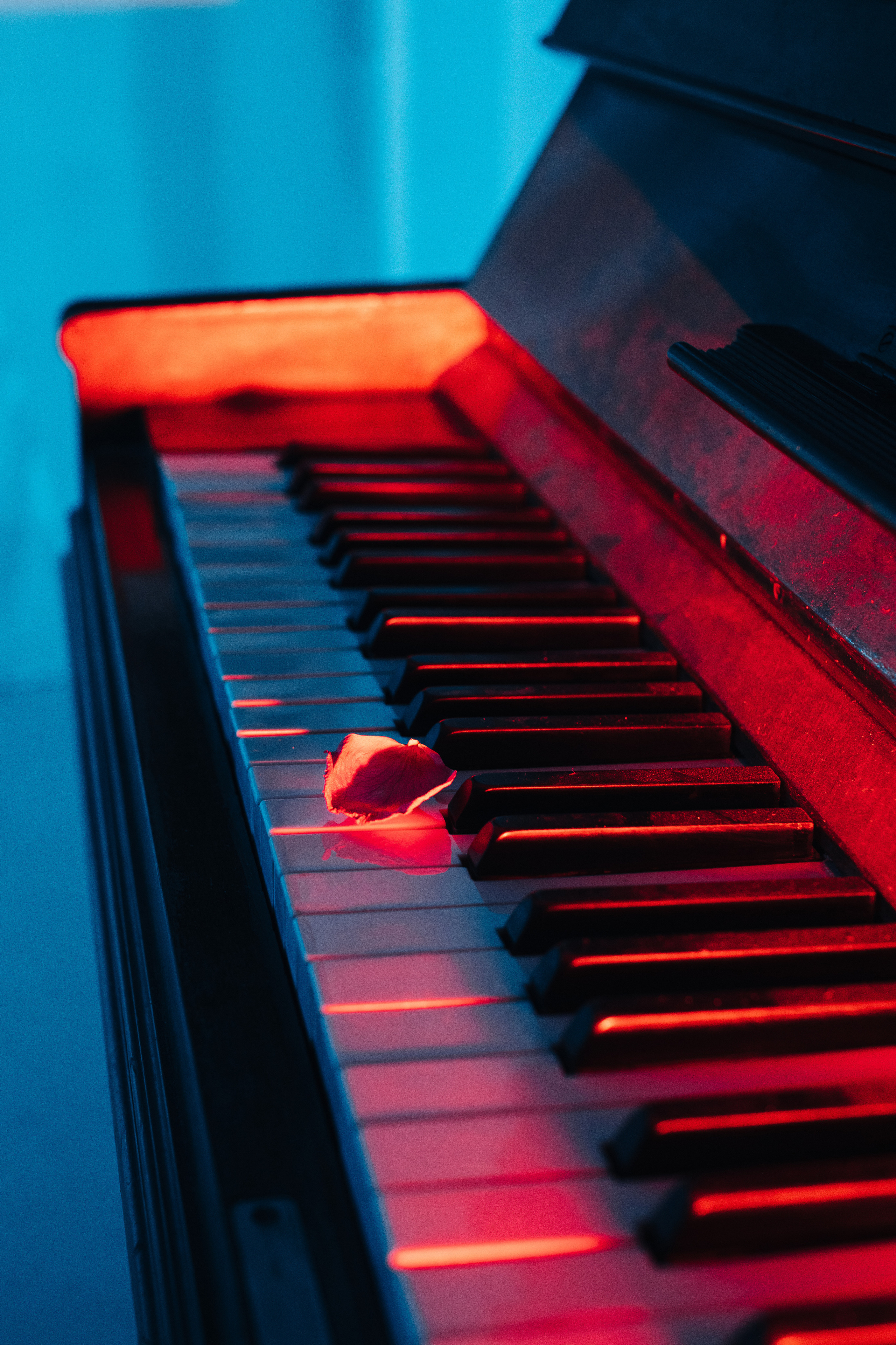 Corpse Bride cosplay (Kate and Antay) Bogdan vision. Wed Photographers 📷 Saint Petersburg