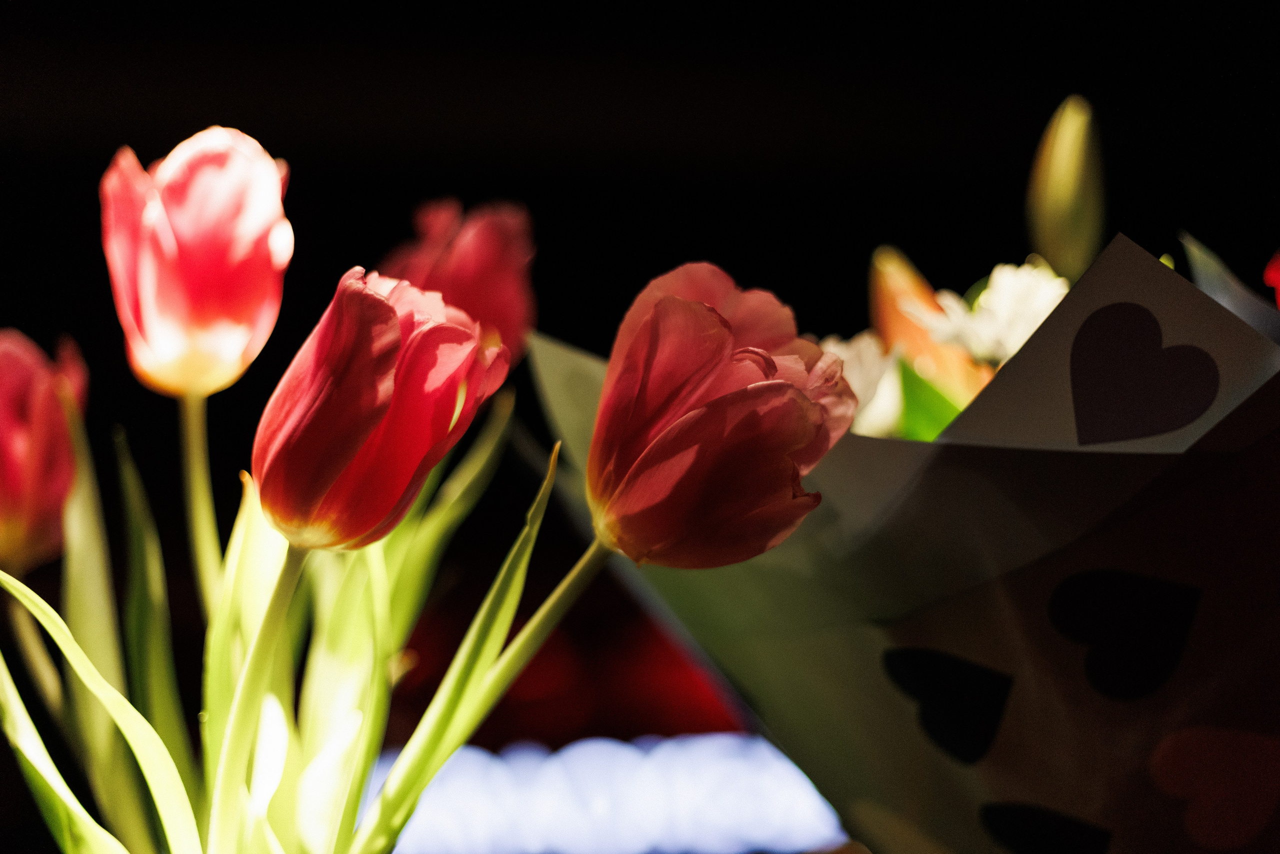 SOLOVI — 8 МАРТА. СВОИ. ФОТООТЧЕТЫ-СОБЫТИЯ-МЕСТА