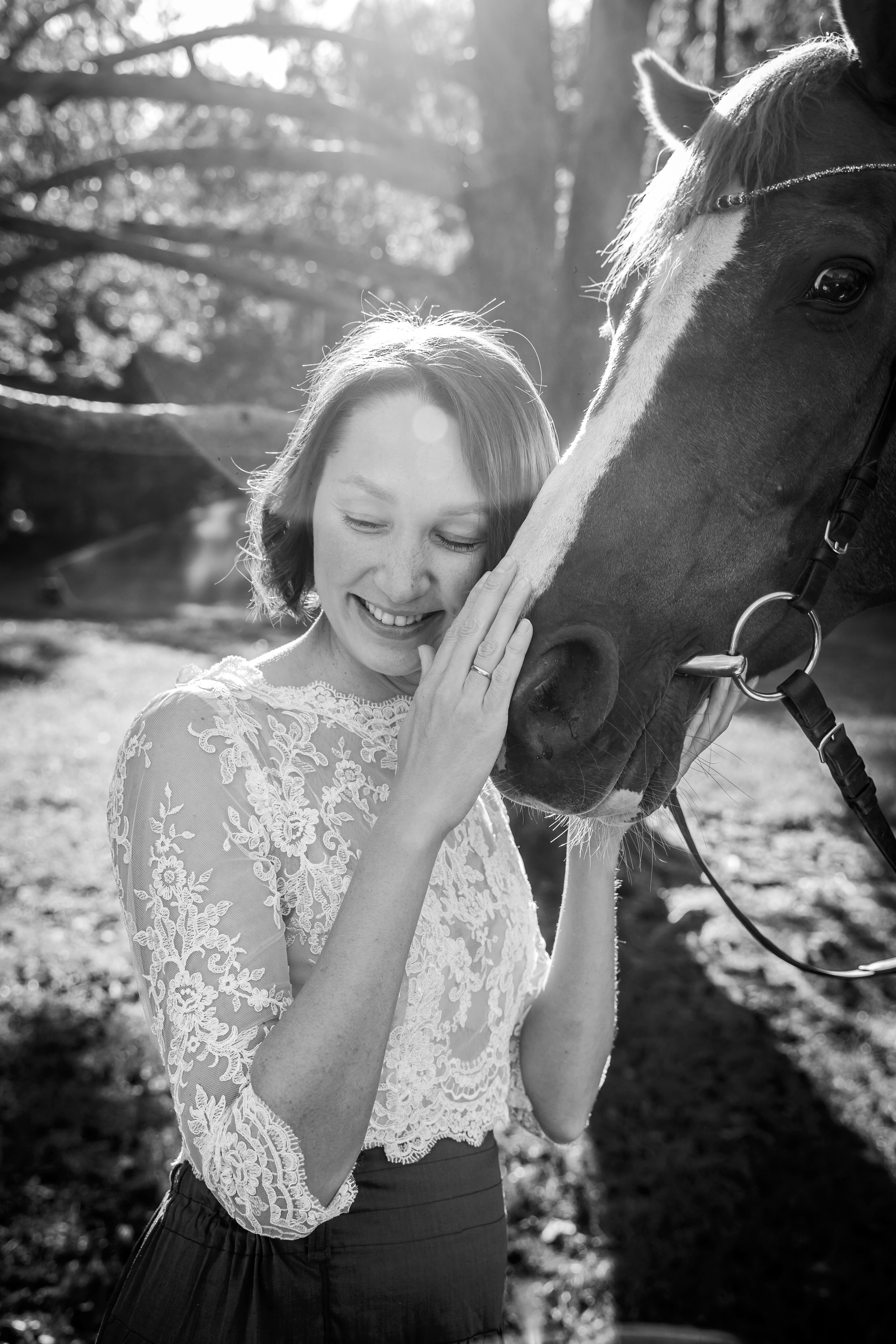 Семейная история с лошадьми. Главная