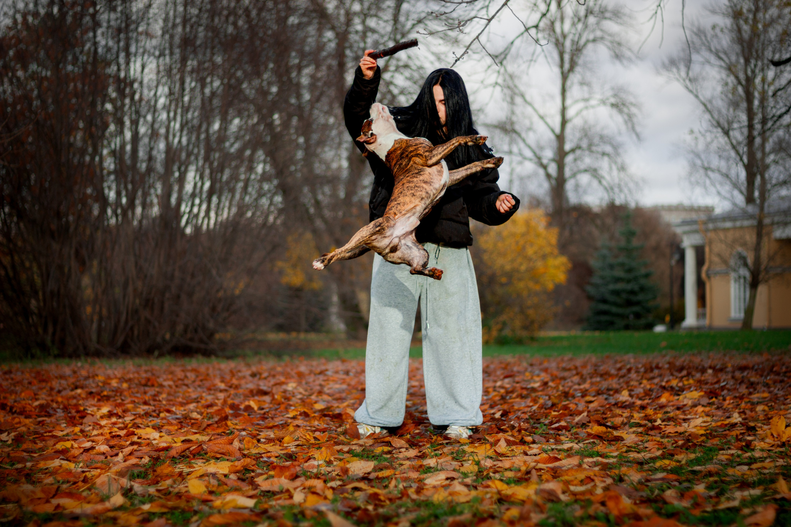 Анималистика. Никита Соловьев | Фотограф в Санкт-Петербурге