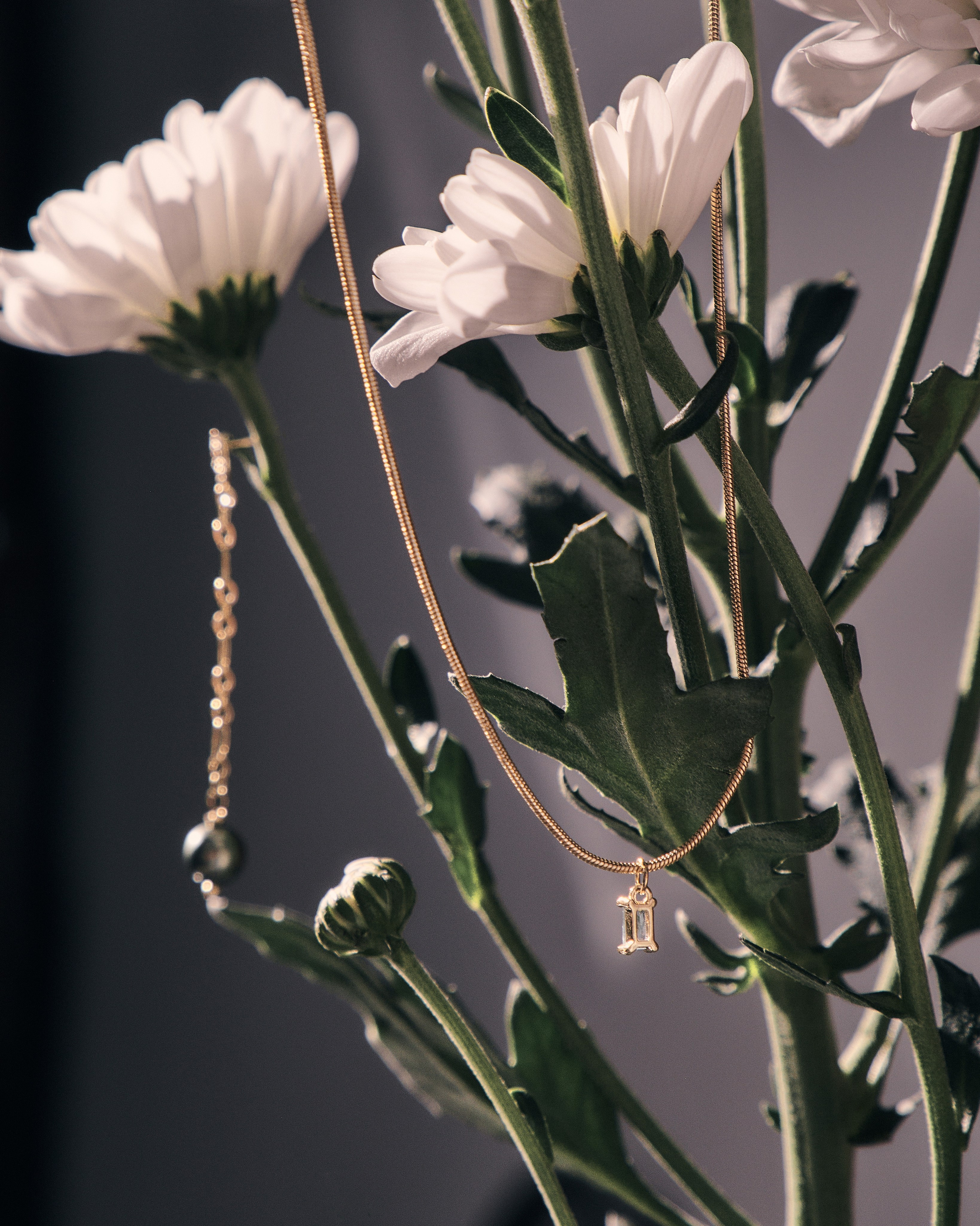 · OBJECTS ·. Фотограф и арт-директор в Алматы