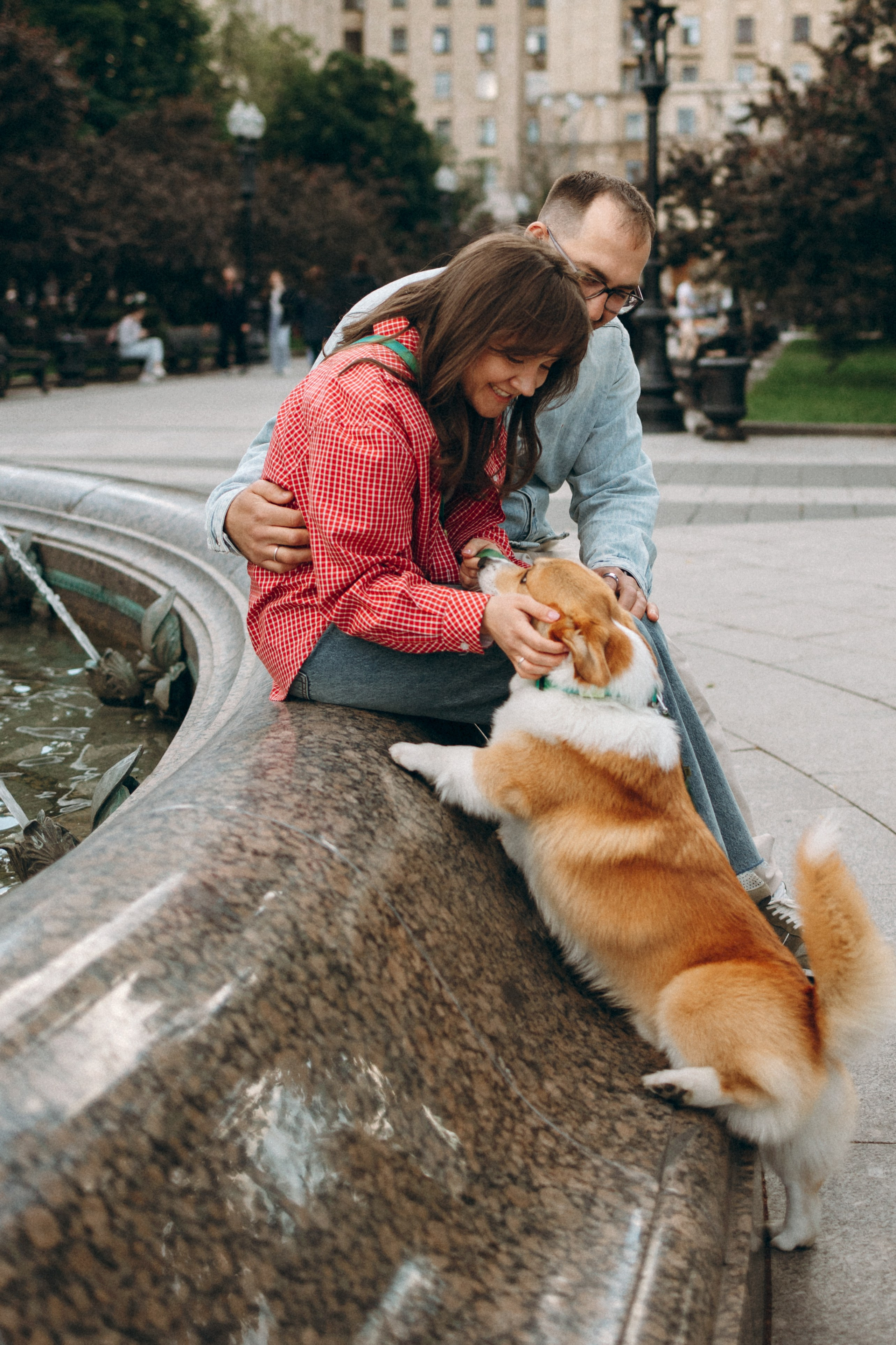 Момо, Люда и Эд. Фотограф анималист Анастасия Пикей