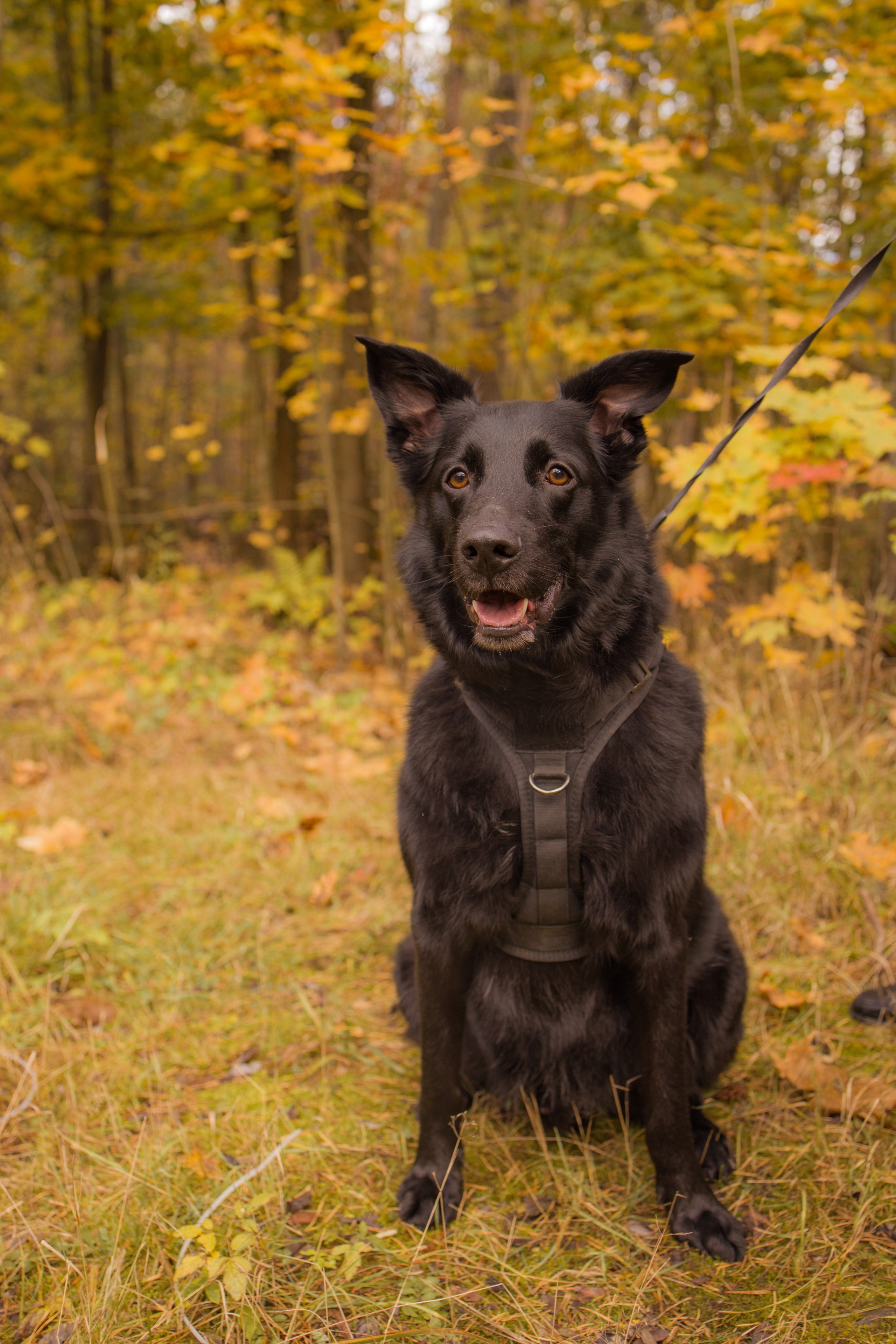 Даша и Дэни. Художественная фотография
