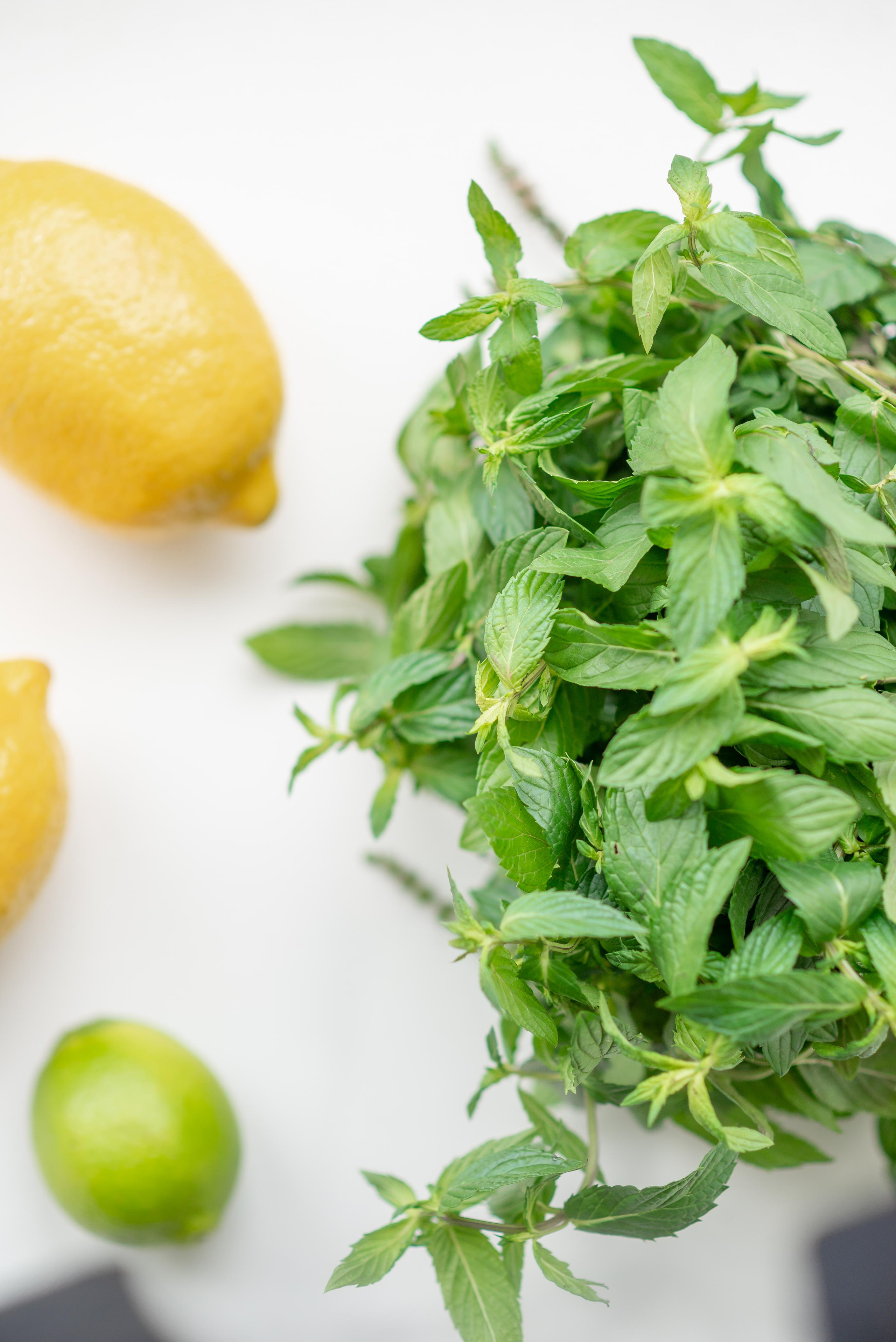 Регина. Фотограф в Самаре Валерия Слезина