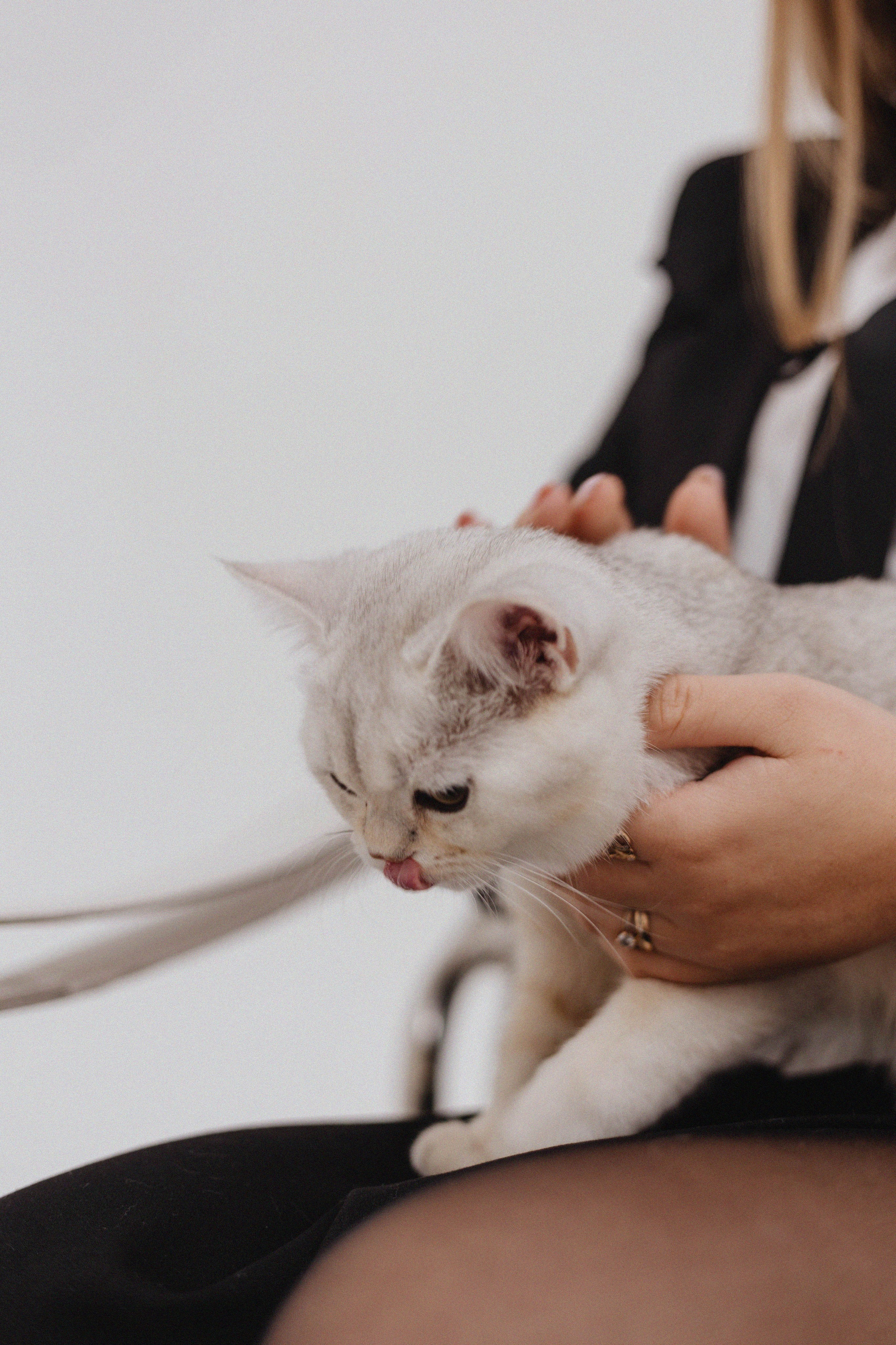 Голливудские дивы. Юлия и Кэсси. Фотограф в Ростове-на-Дону и Краснодаре Елизавета Киселёва