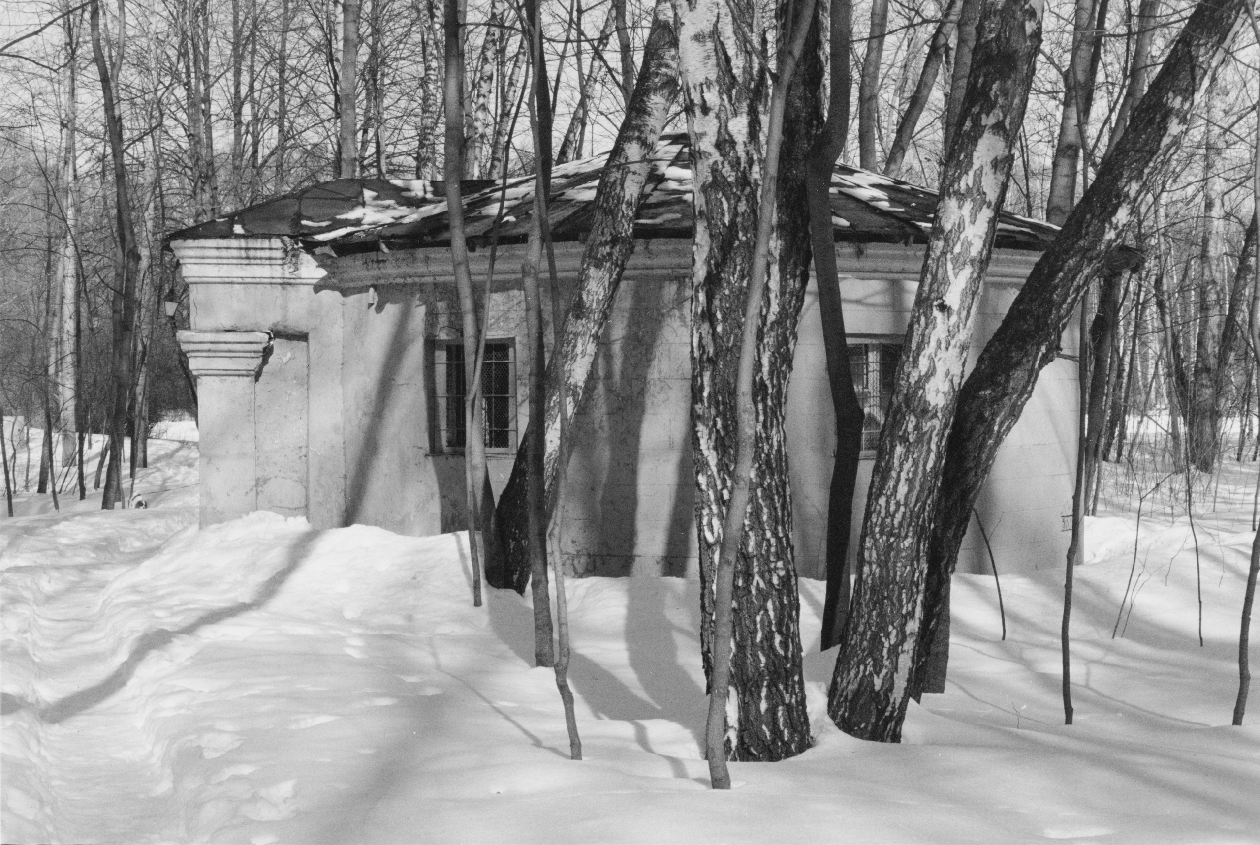 Prints. Maria Abdullaeva