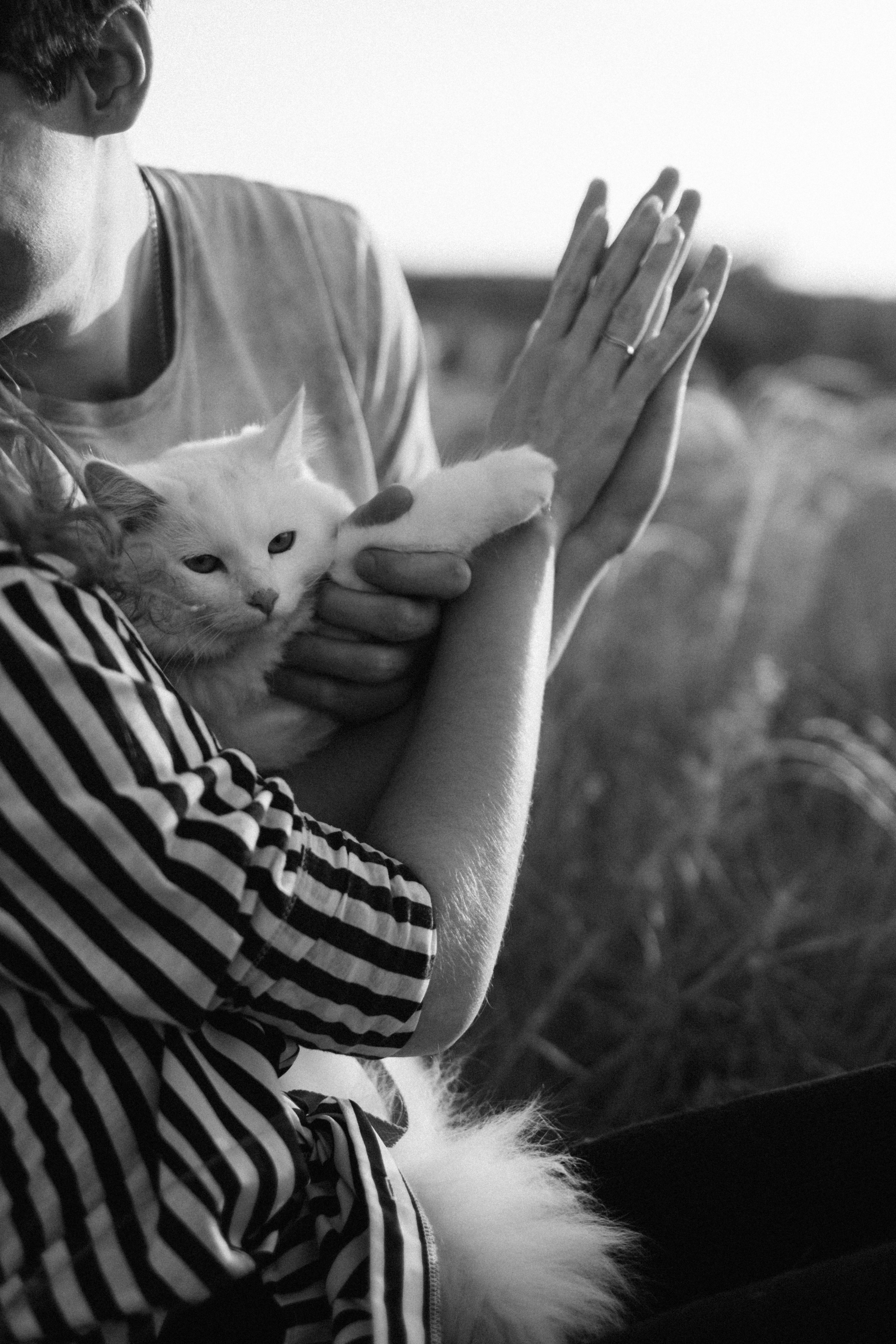 Каролина + Артем + Лето. Свадебный и семейный фотограф г. Волгоград Биленко Ангелина